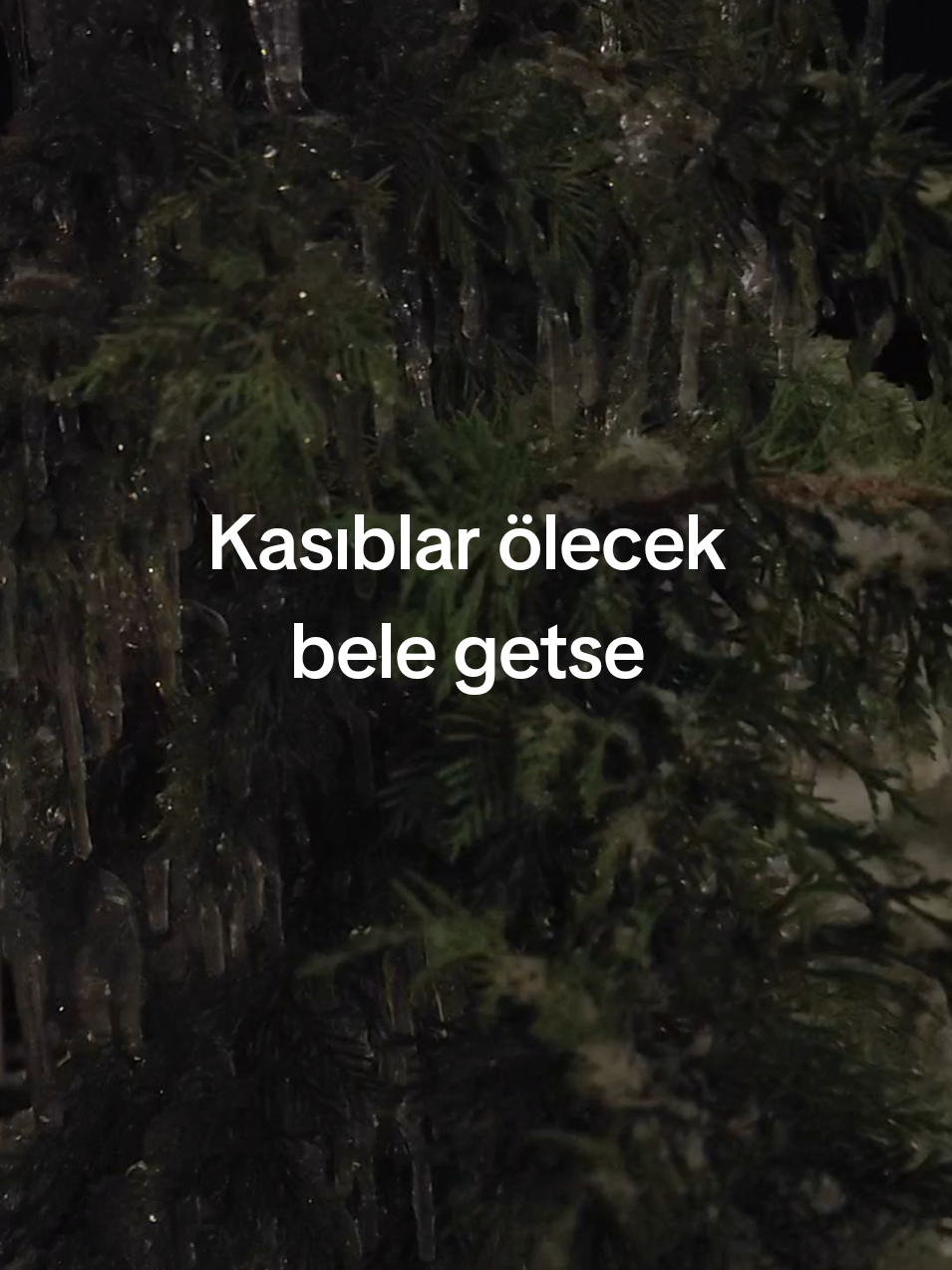 @Qəbələ Əmlak Ruzi