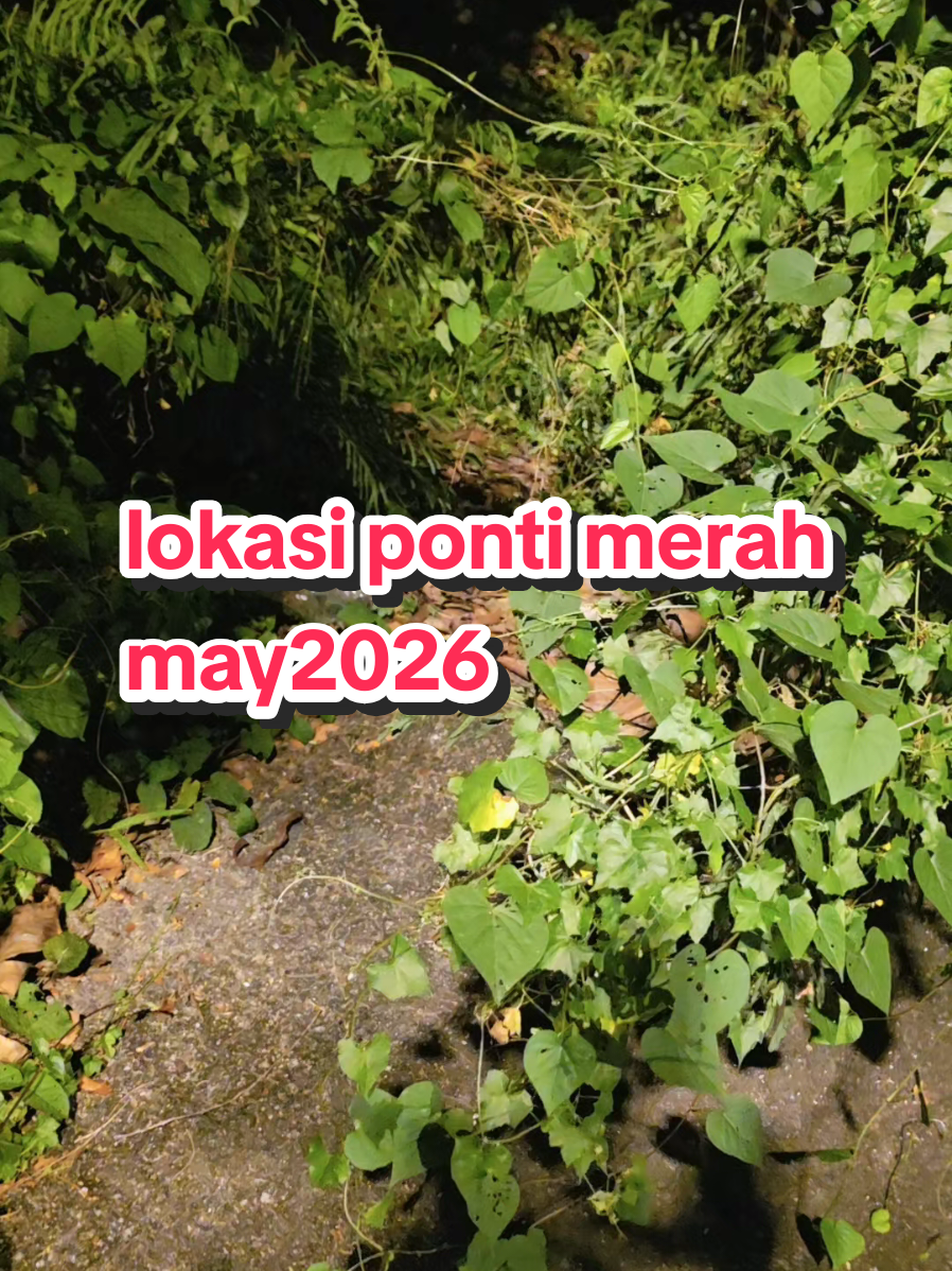 @šššøįµŹ°įµį¶Ź°įµįµįµįµŹ³