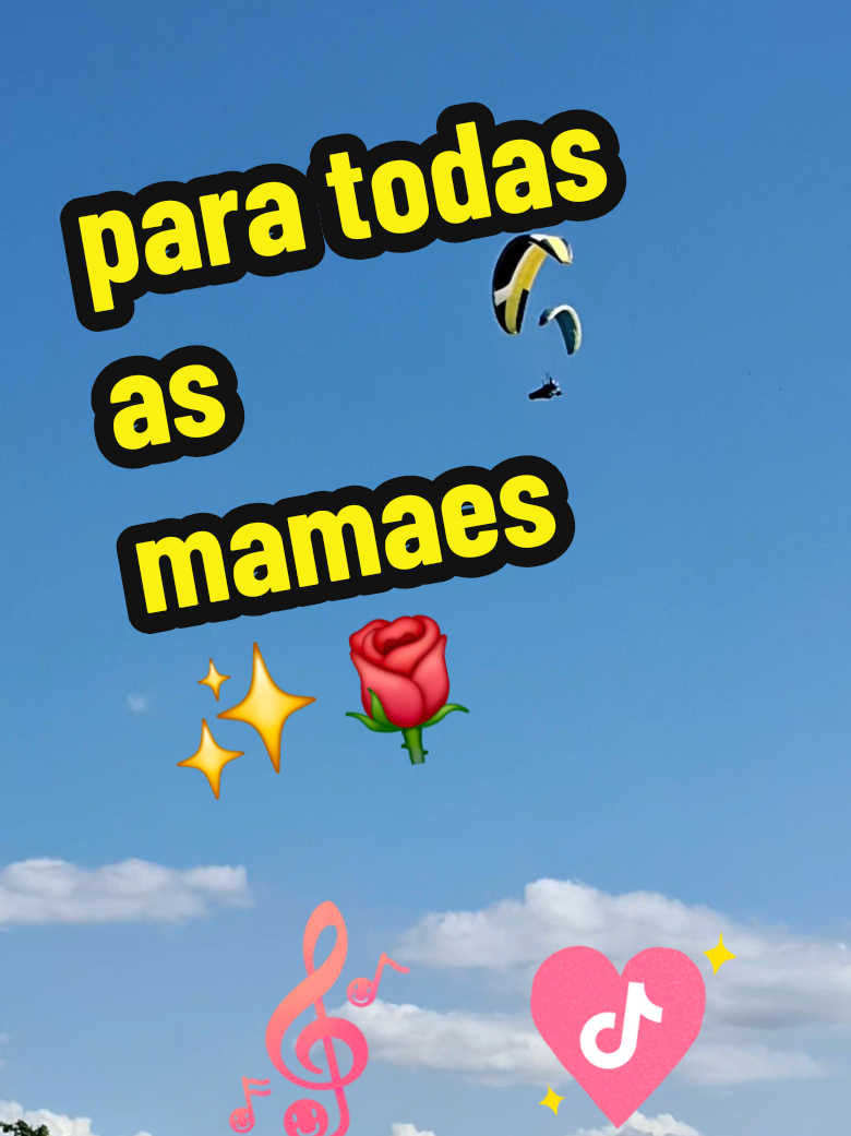 @Vicente Gardeal