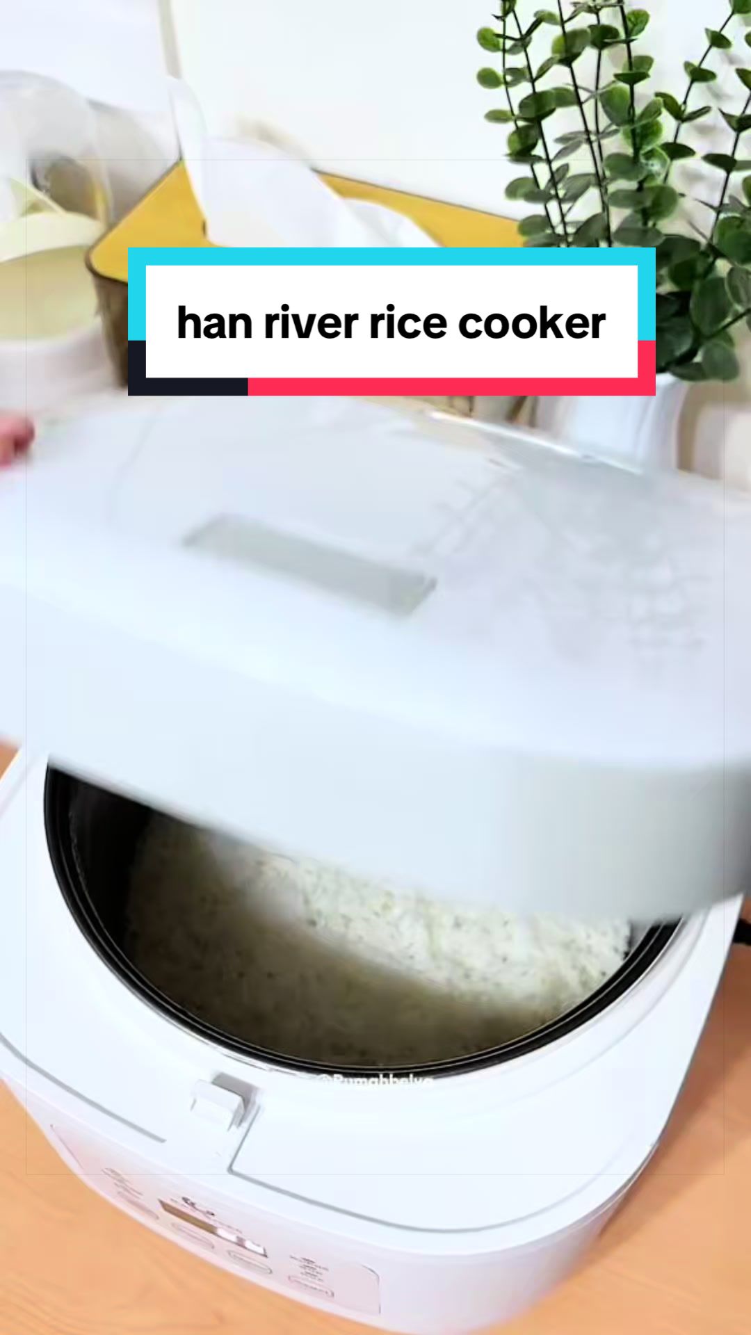 @dinilifestyle
