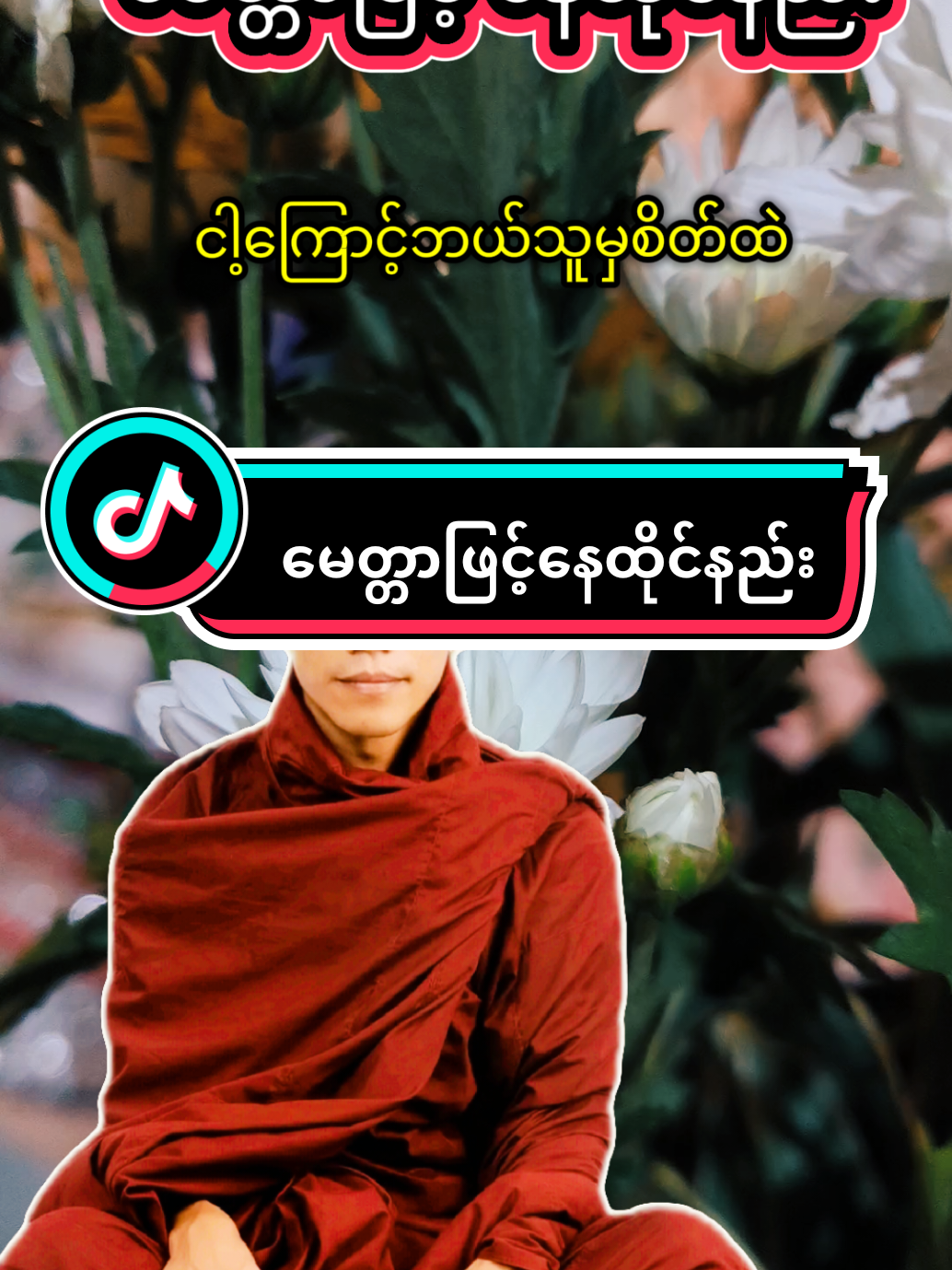@𝐍𝐚𝐭𝐮𝐫𝐞 & 𝐃𝐡𝐚𝐦𝐦𝐚