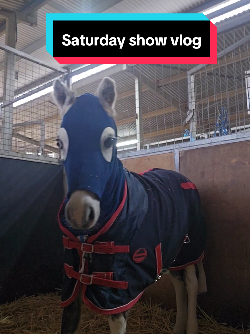 @Jess | Horse trainer