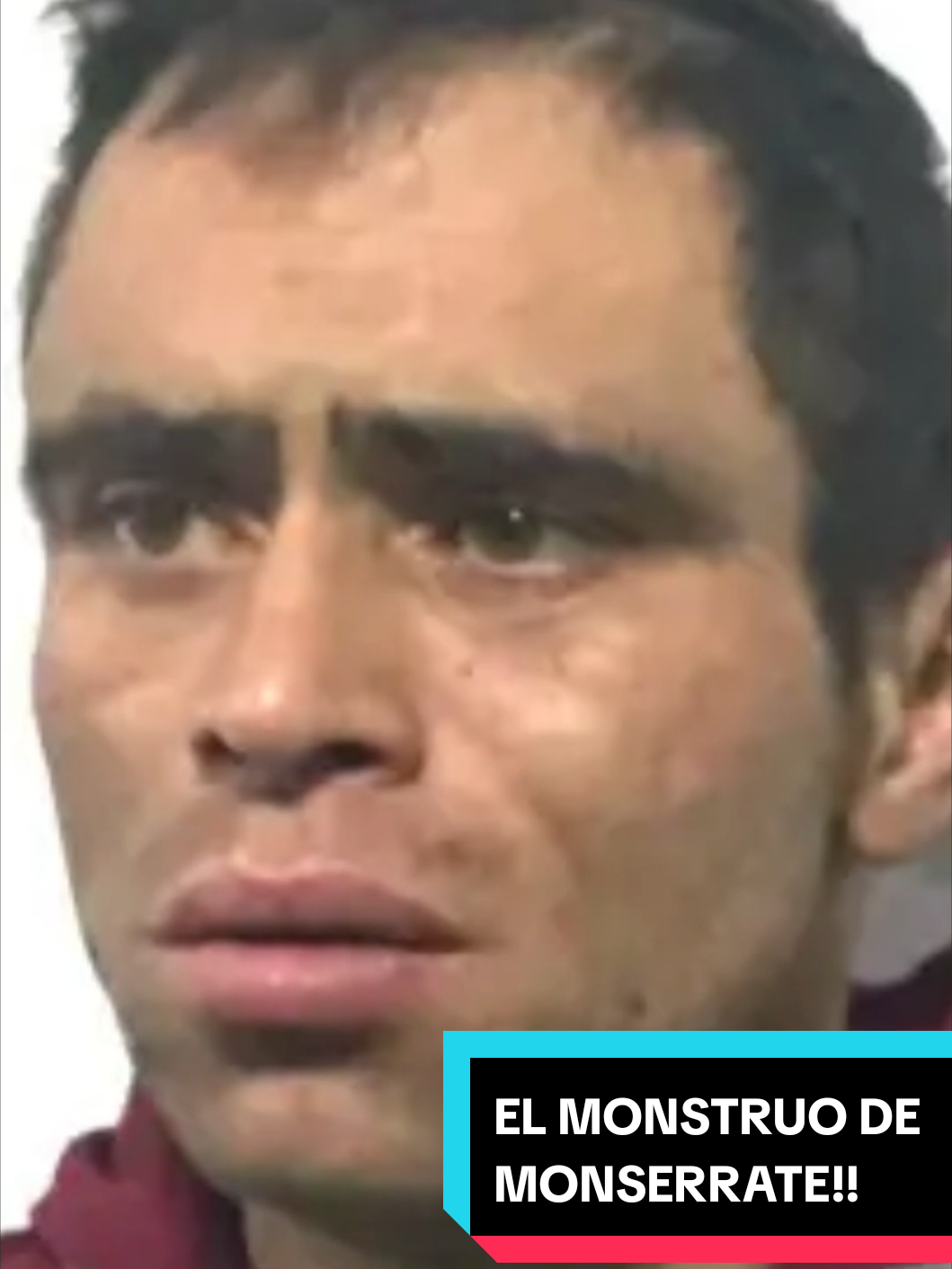 @Plumithas: Secretos y Cr&iacute;menes