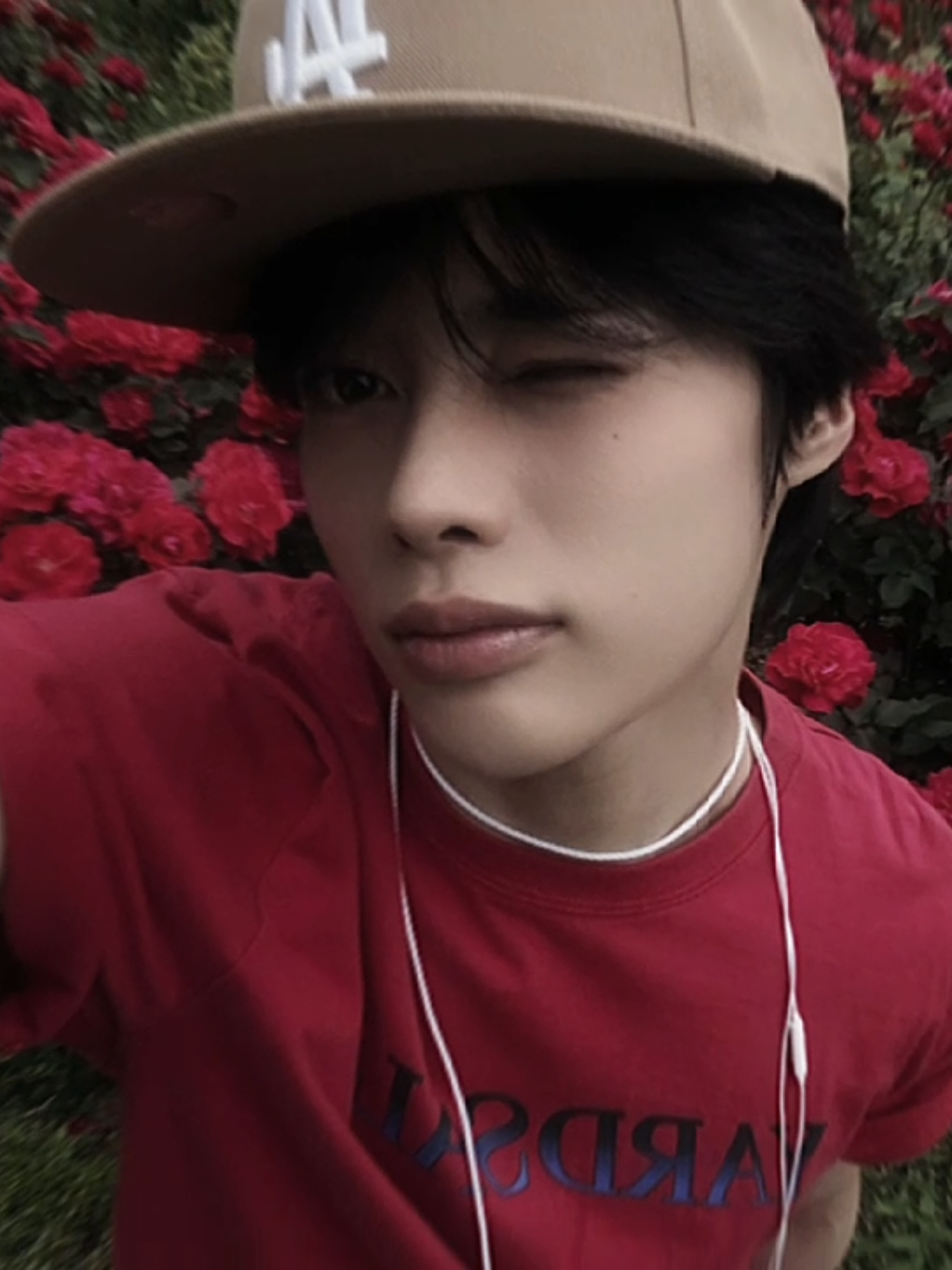 @𝑯𝒂𝒏𝒃𝒊𝒏𝒉𝒐𝒍𝒊𝒄 ݁ ˖Ი𐑼⋆