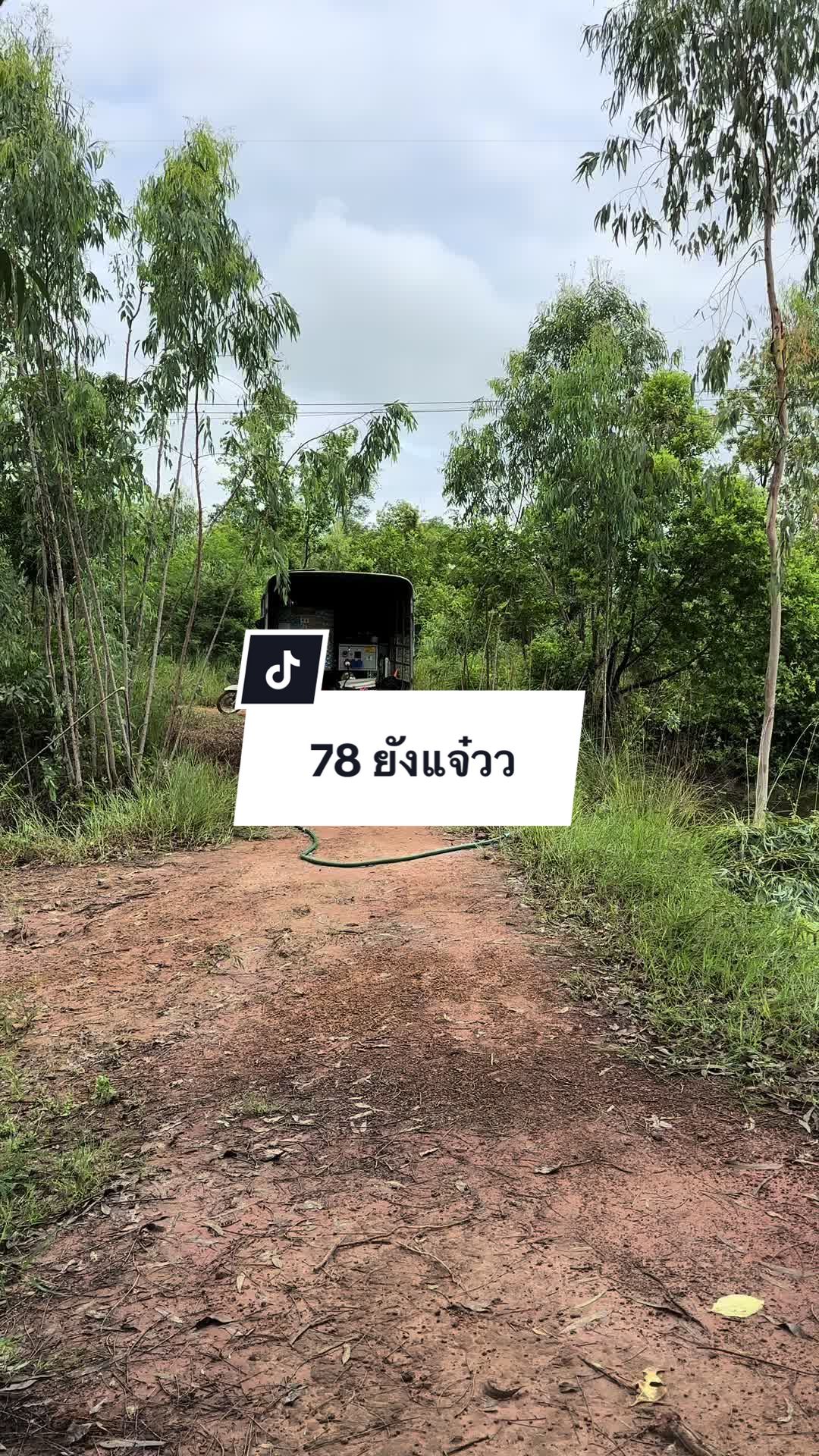 @อาเฮียหลี อาหลีเฮีย