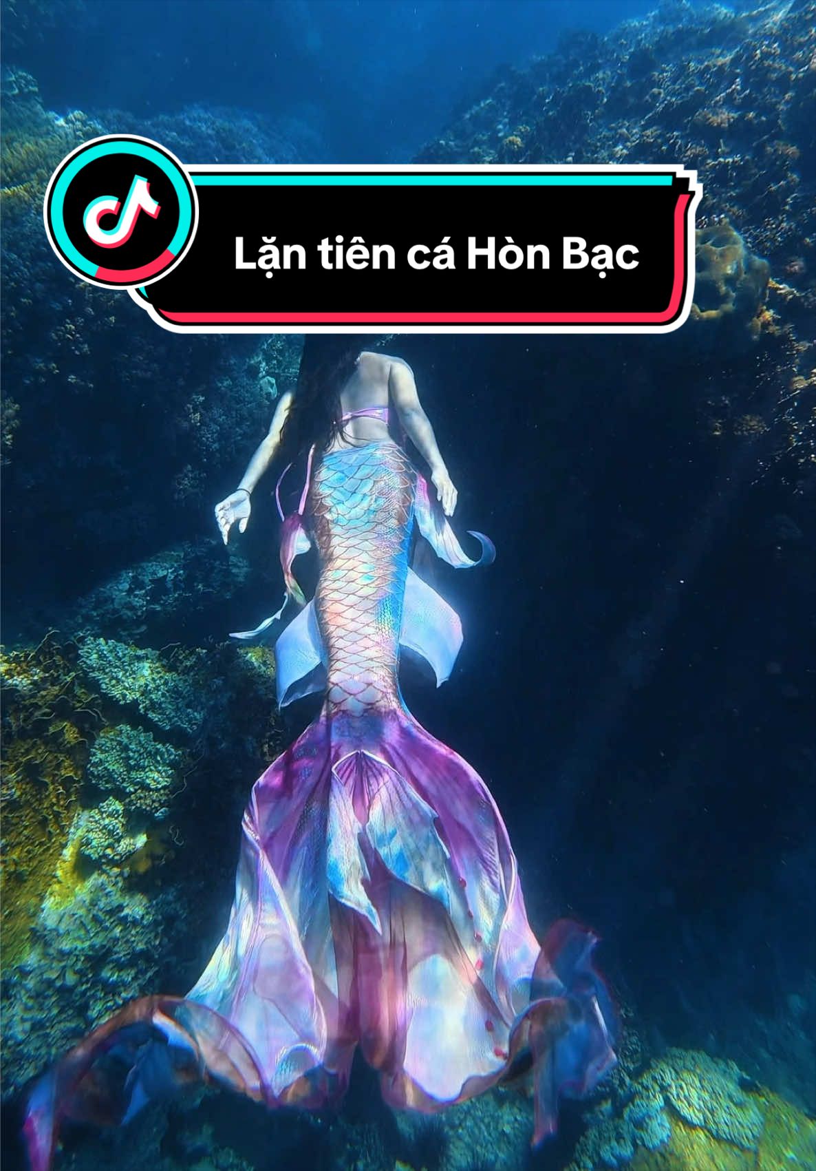 @Love Freediving Nha Trang