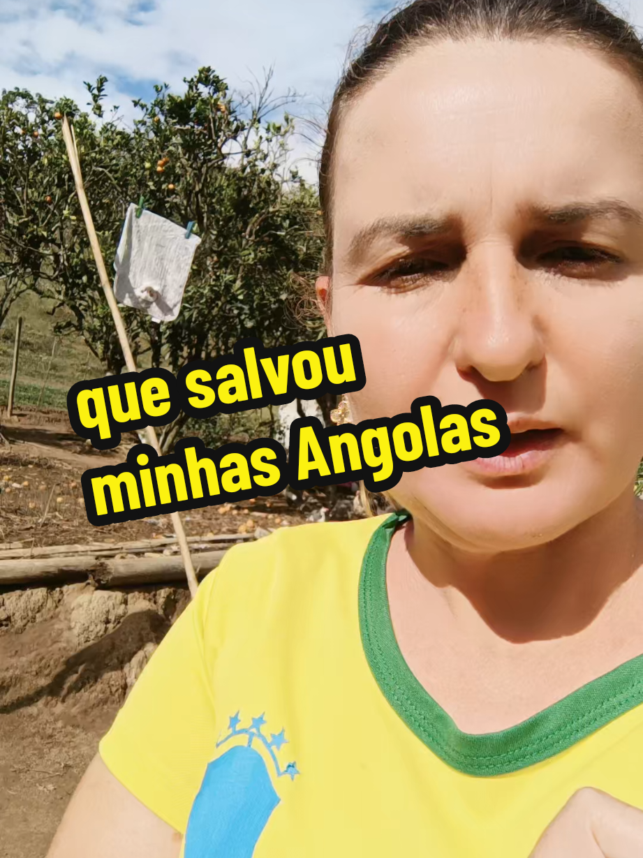 @Elaine Fernandes