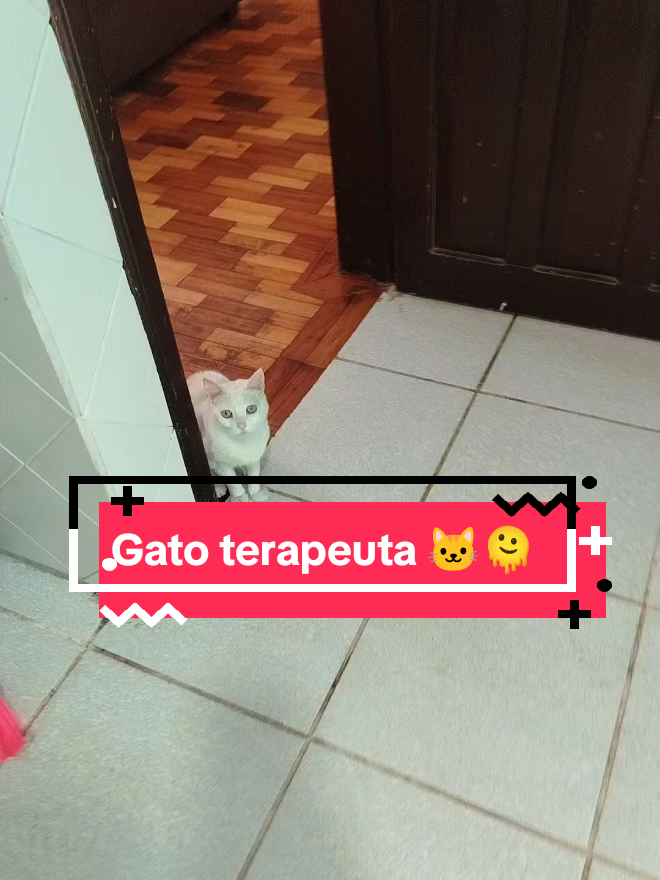 @Lunaticktokera