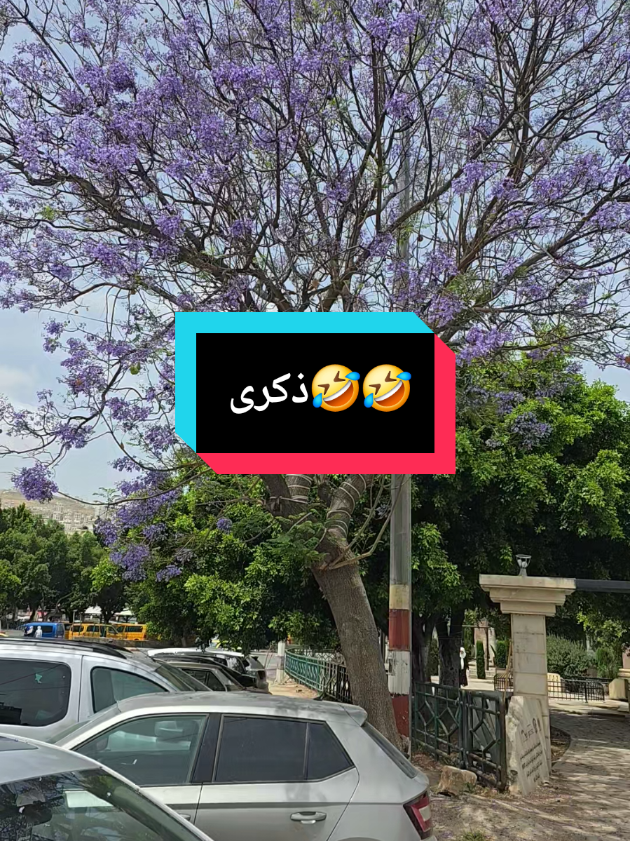 @Sama🌸