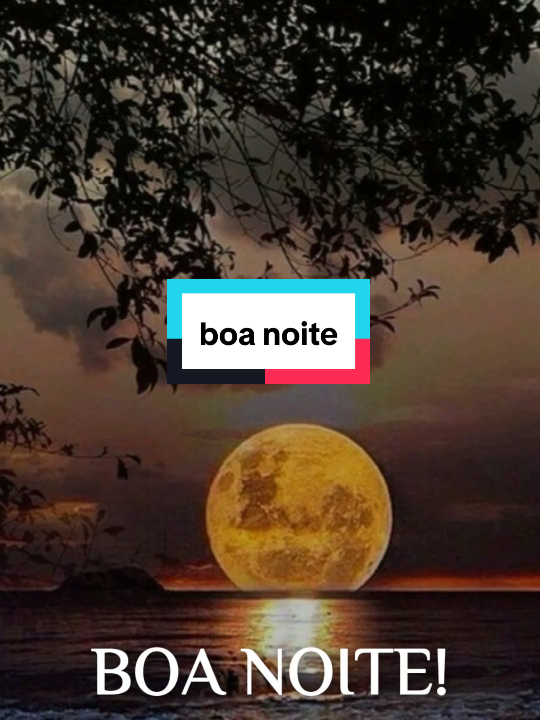 @frases e motivação