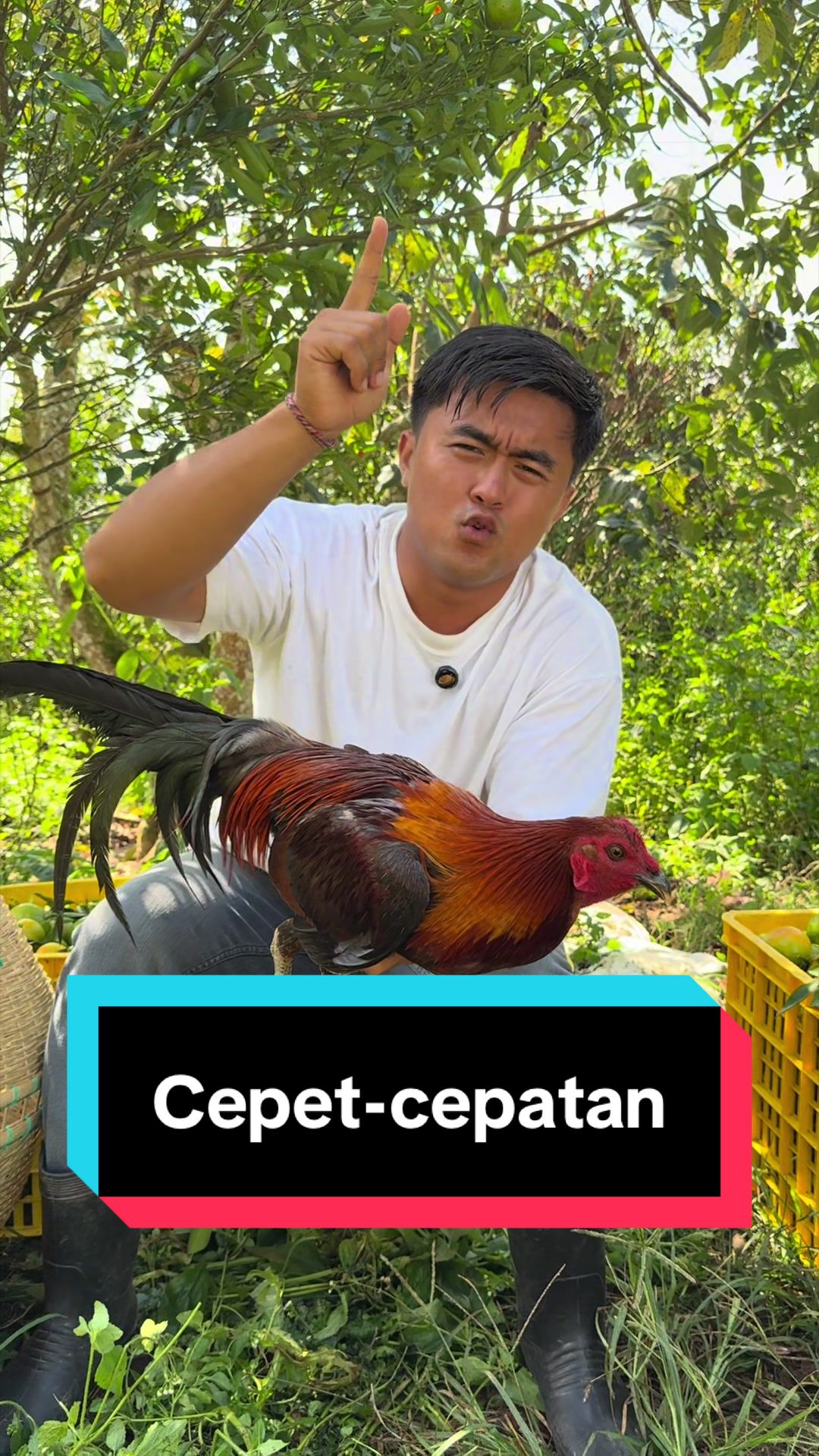 @Doni artawan