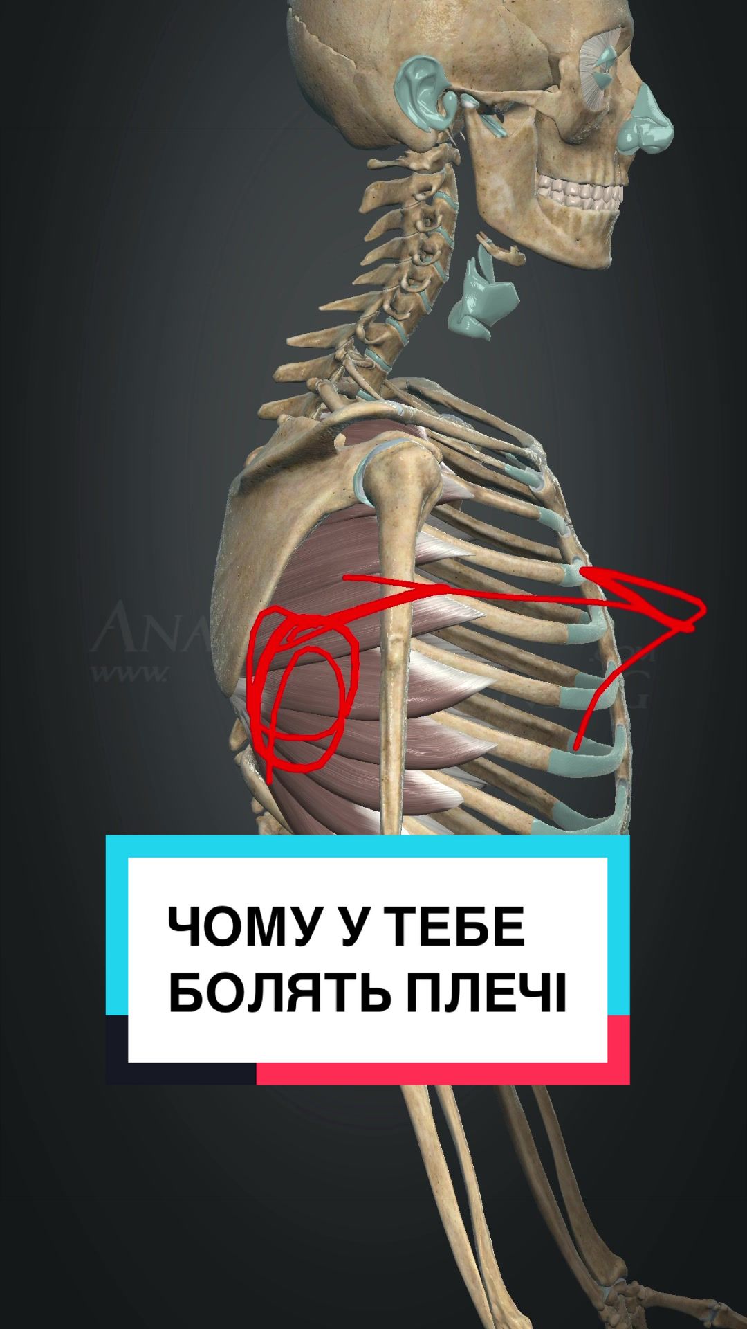 @B I K M A E V
