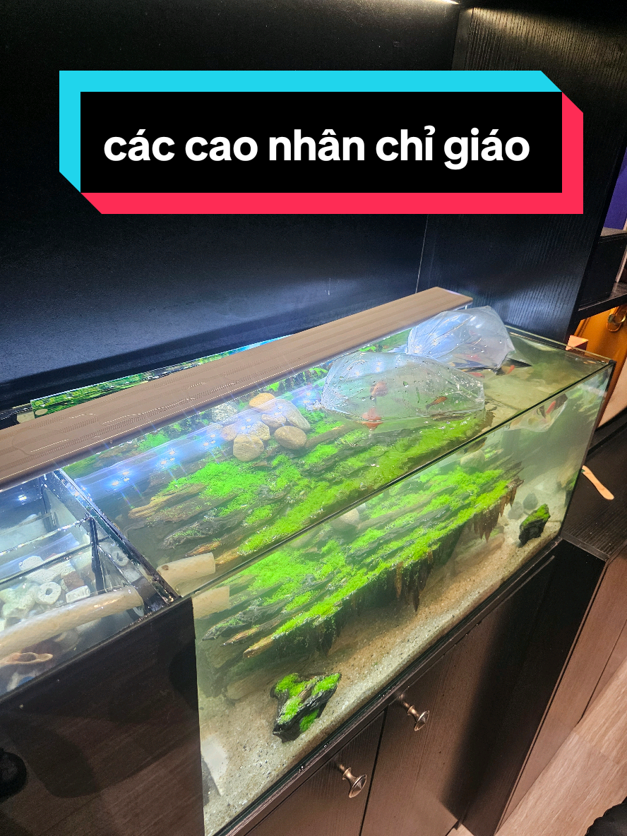 @THẰNG THỢ ĐỤNG