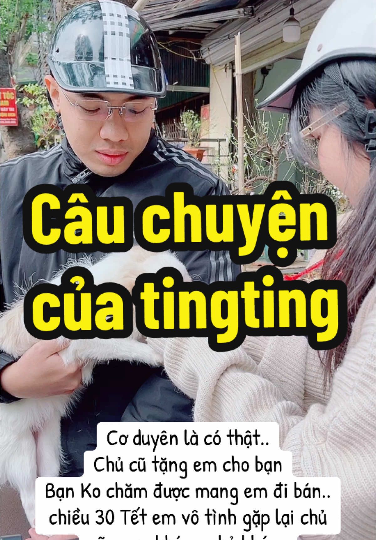 @THẾ GIỚI CH&Oacute; M&Egrave;O XINH😘