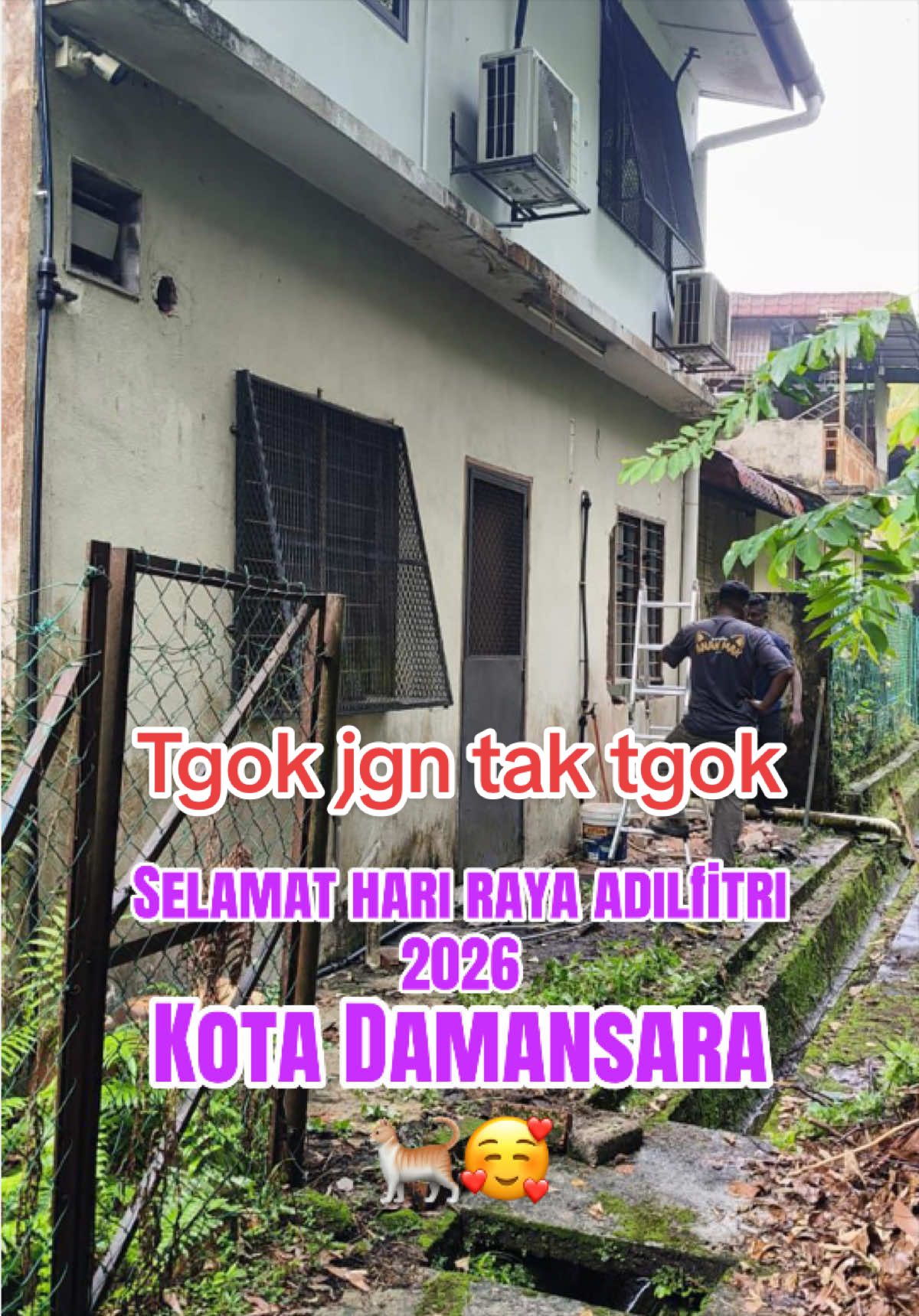 @Sangkar Anak Mak 🐱