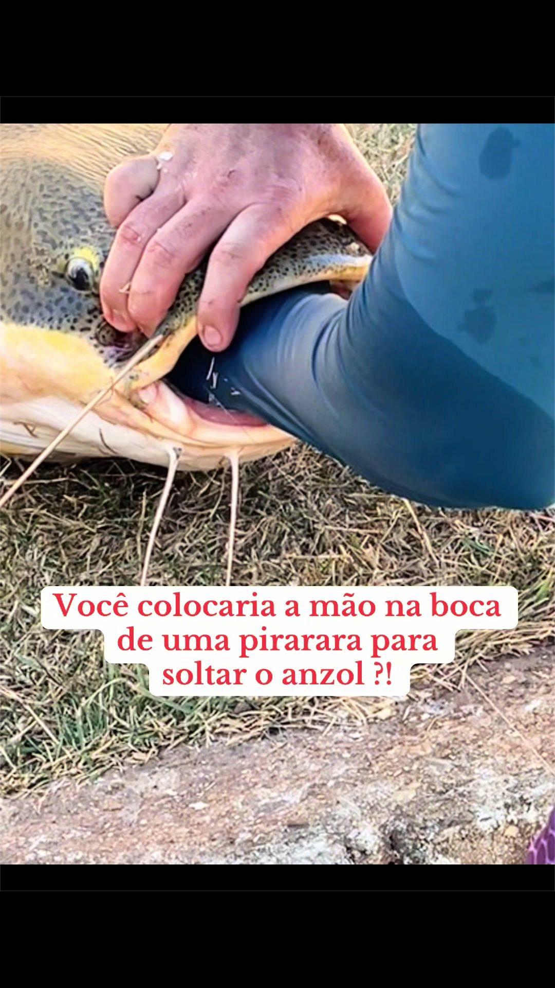 @Dimex Pescador