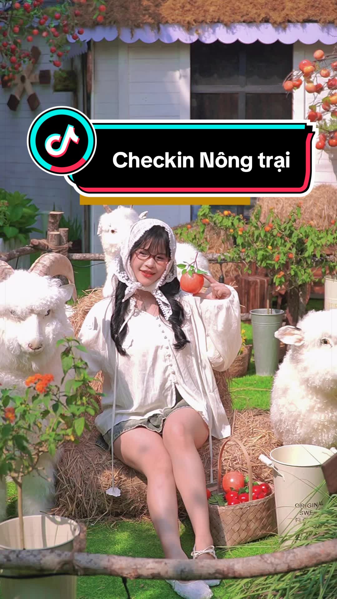 @Cô Gái Nam Định