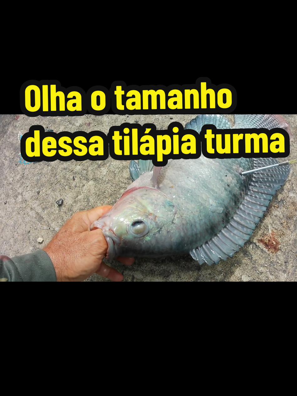@Joildo Araujo