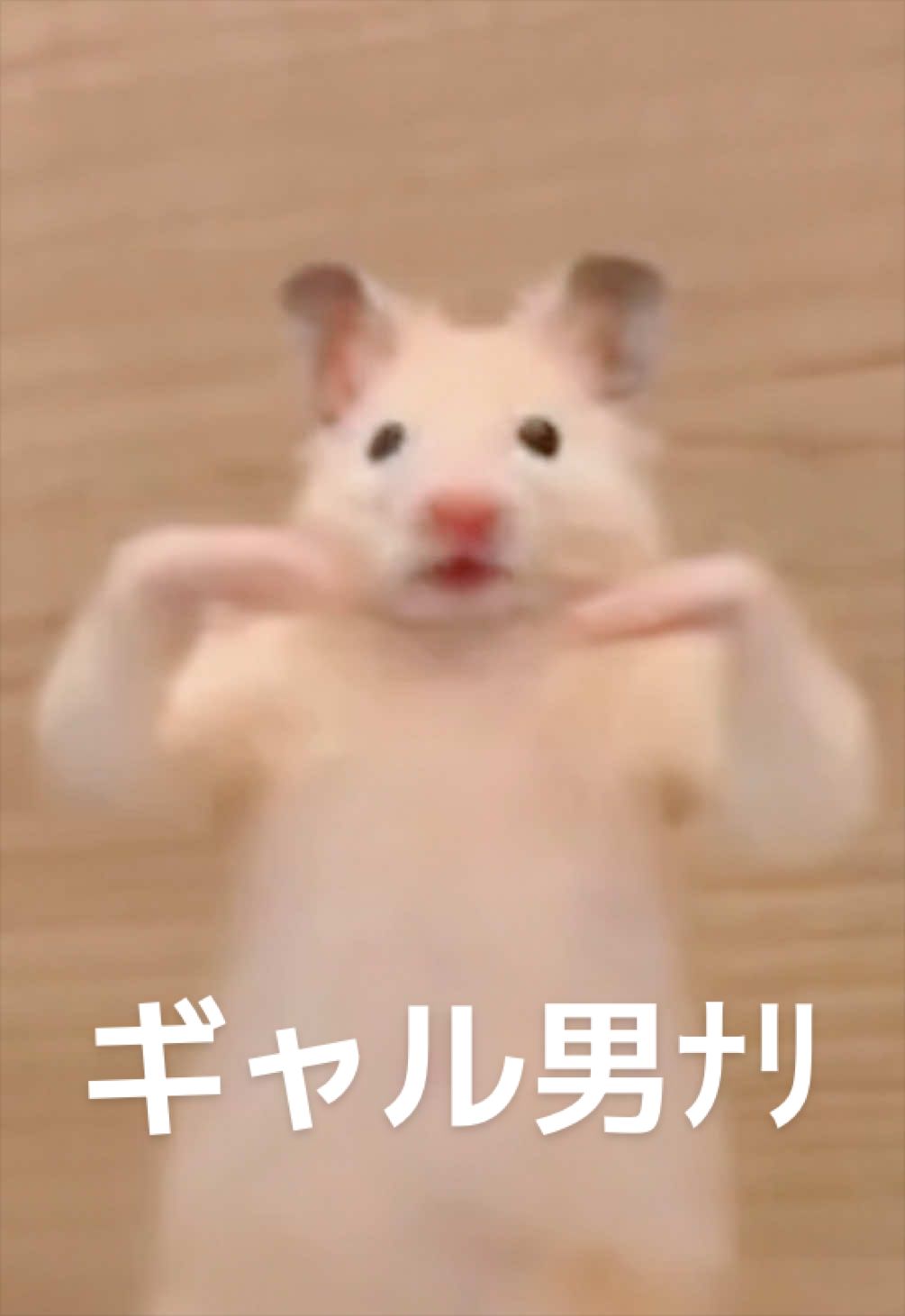 @FCham