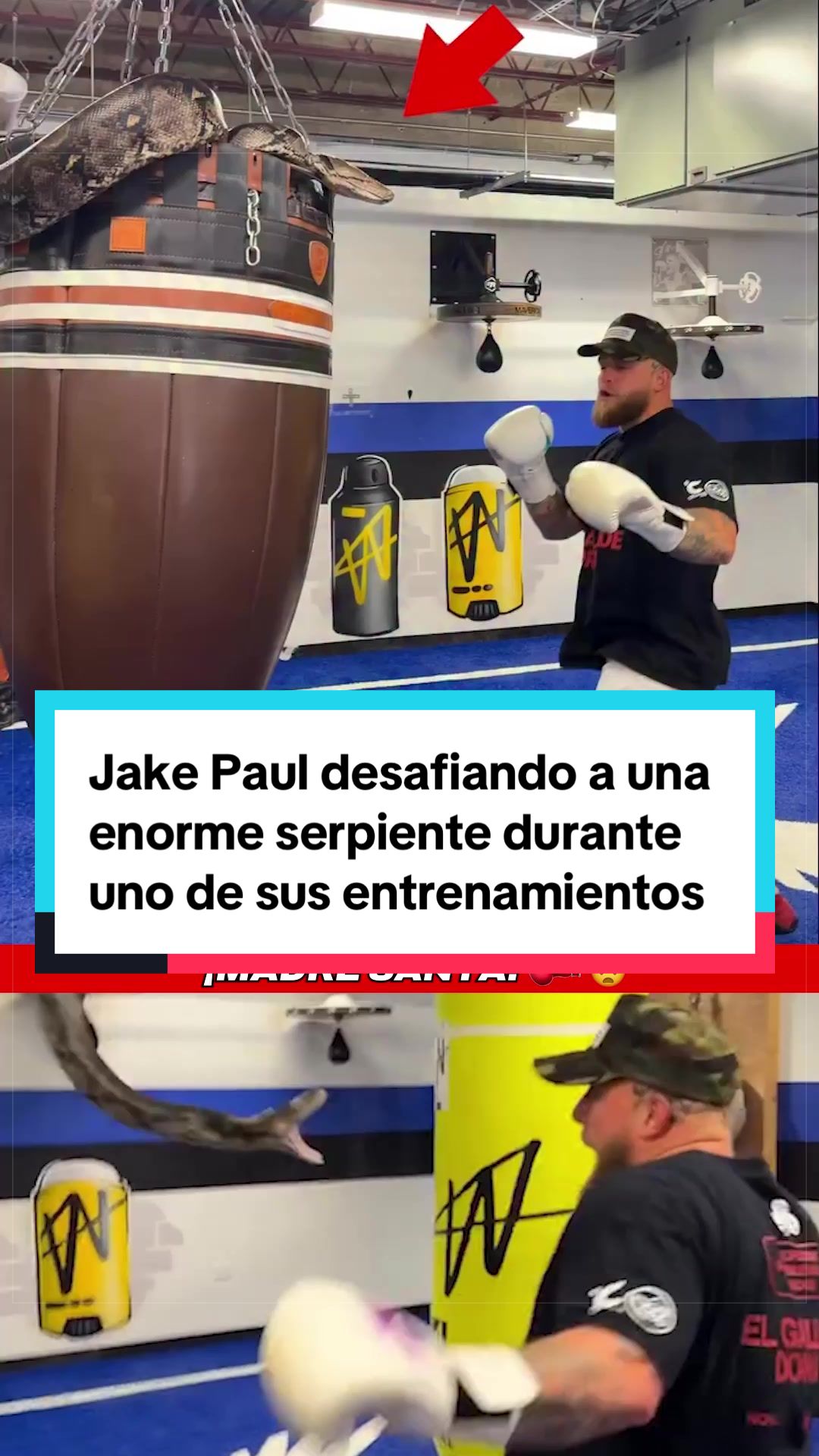 @MARCA México 🇲🇽