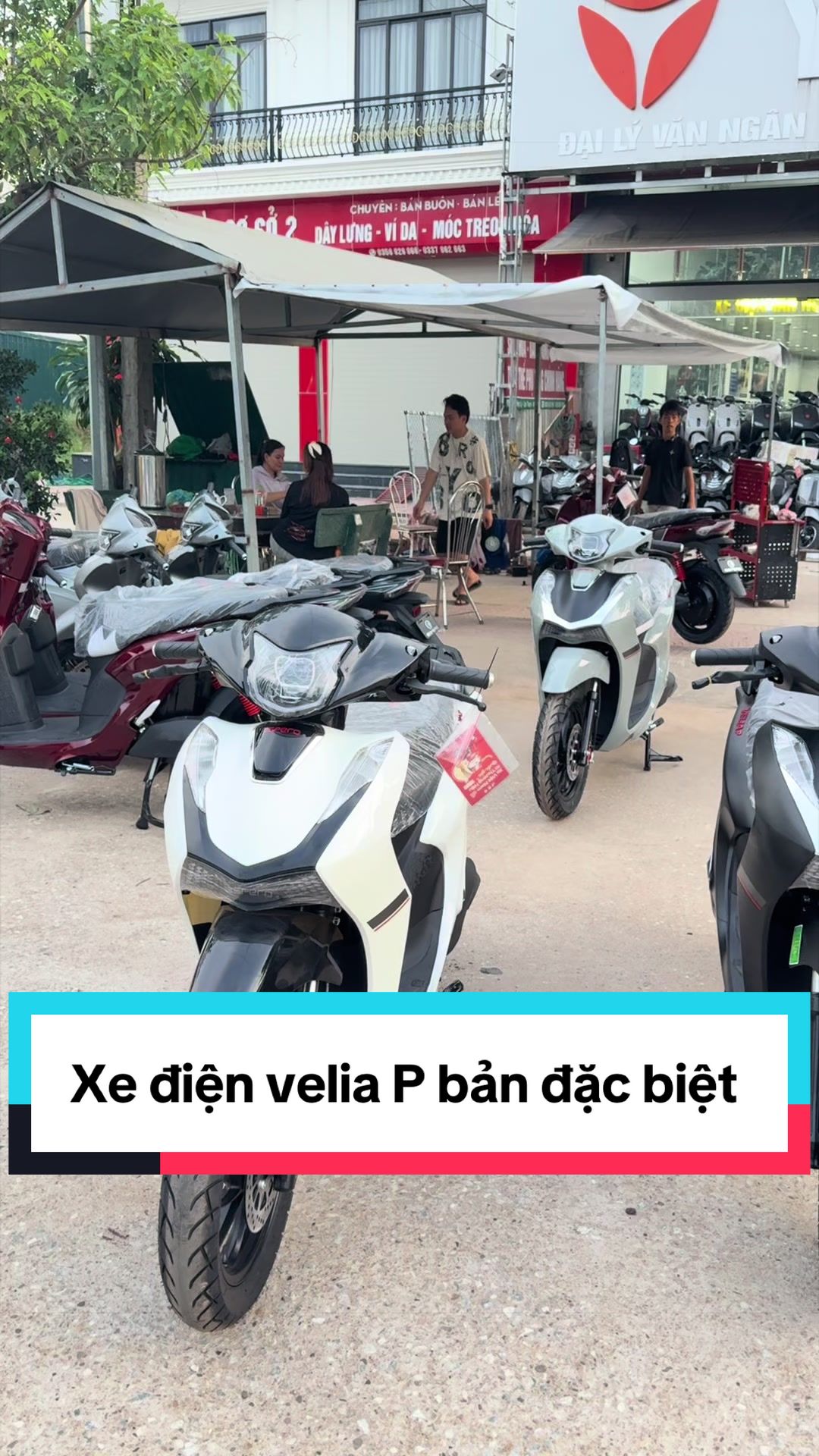 @Thế Giới Xe Văn Ngân