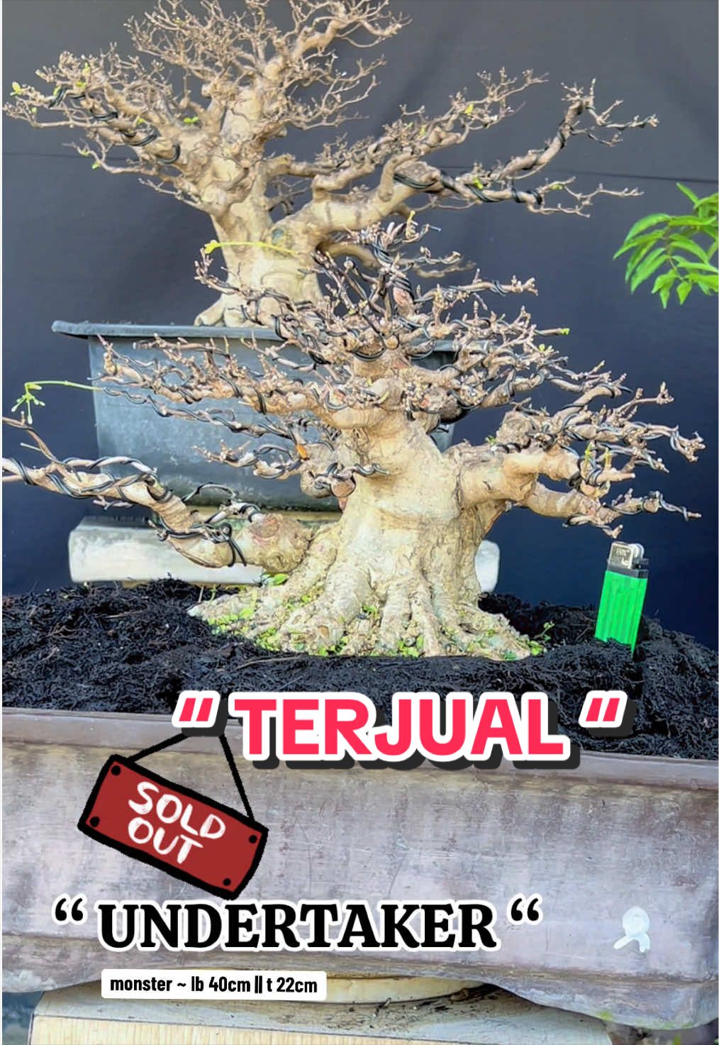 @warbonsai_purwodadi