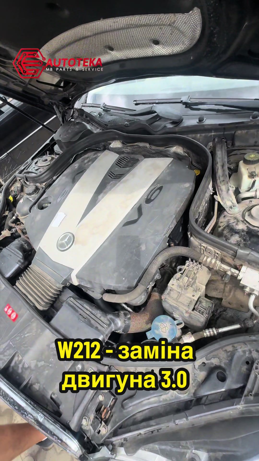 @АВТОРОЗБОРКА/СТО MB AUTOTEKA✔️