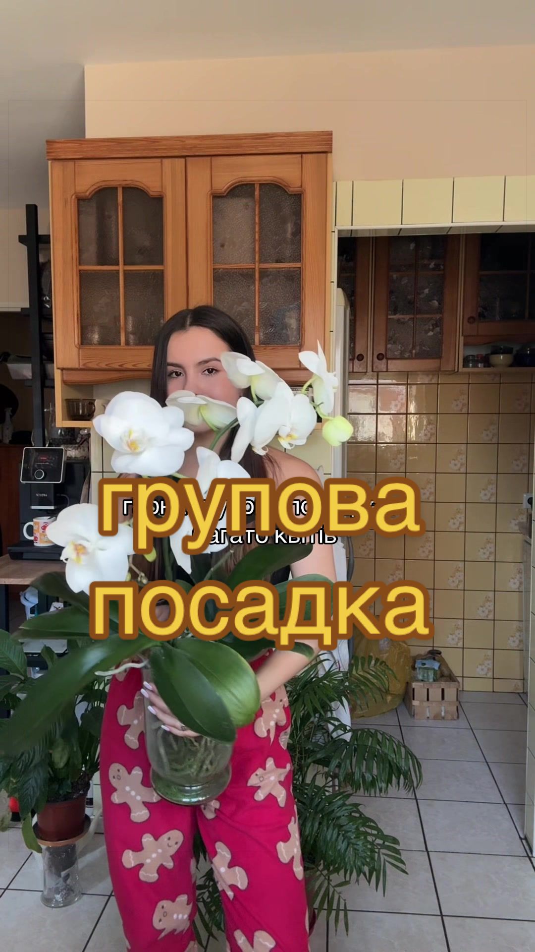 @🧚леся🧚