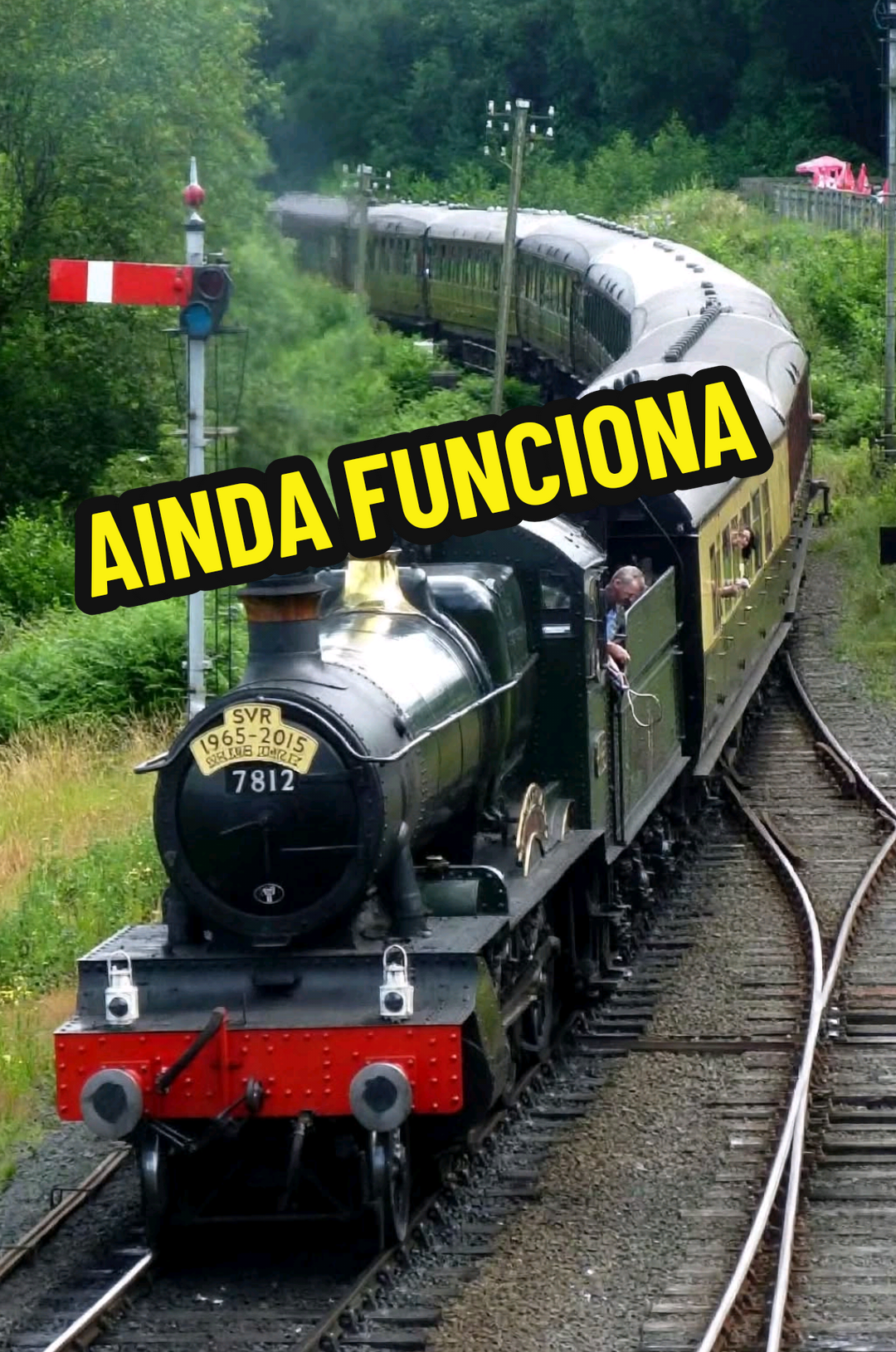 @RAIZ DO SABER