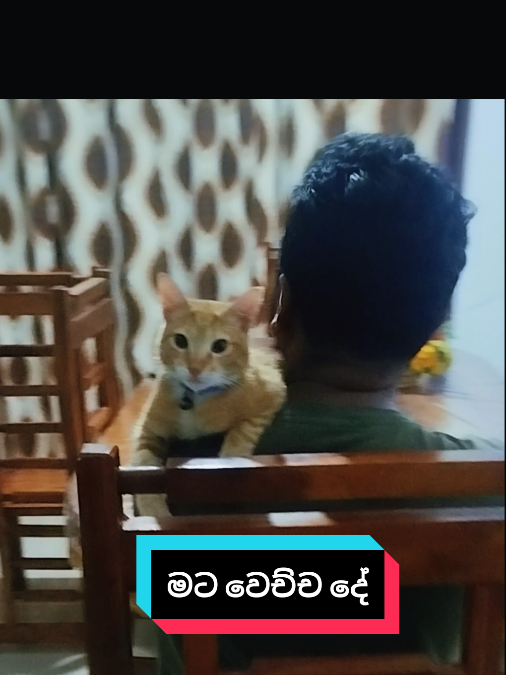 @ClickS by ThiDha 🌟
