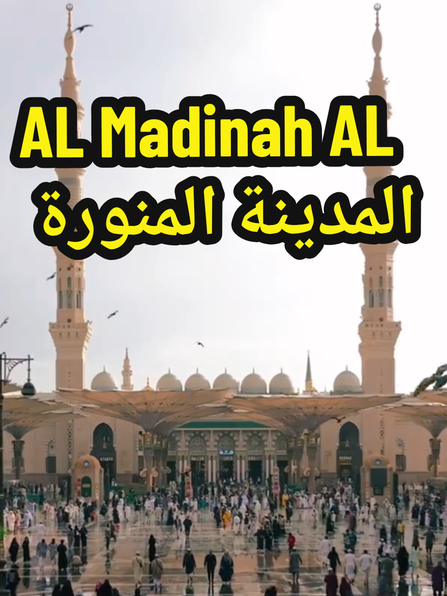 @سعود من المدينة المنورة 🛑