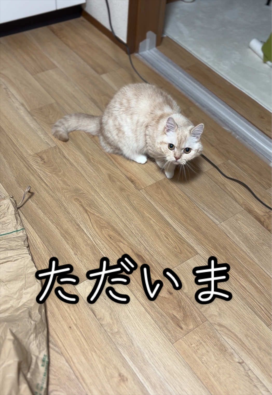 @縫くんと私