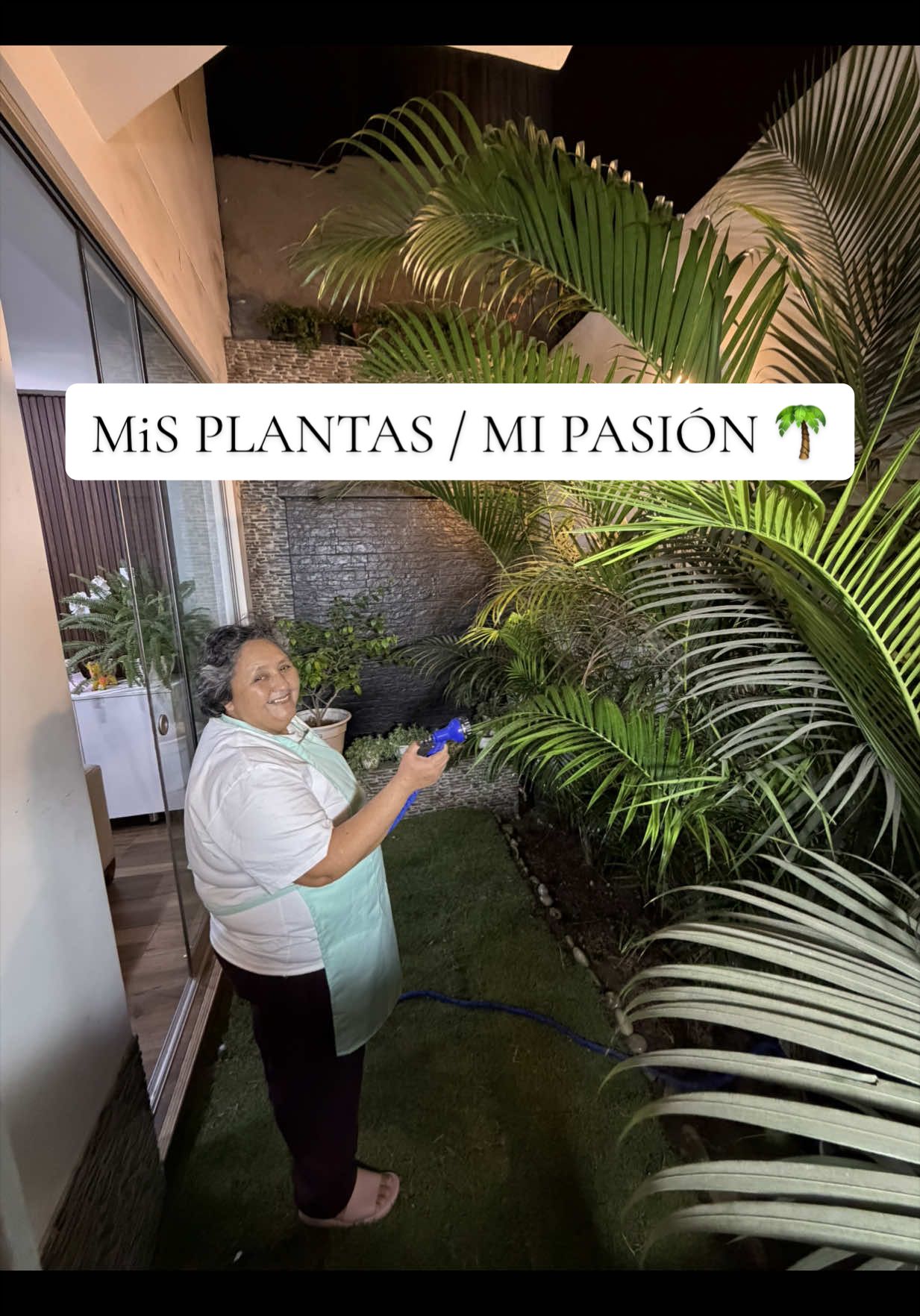 @Lanenita.postres