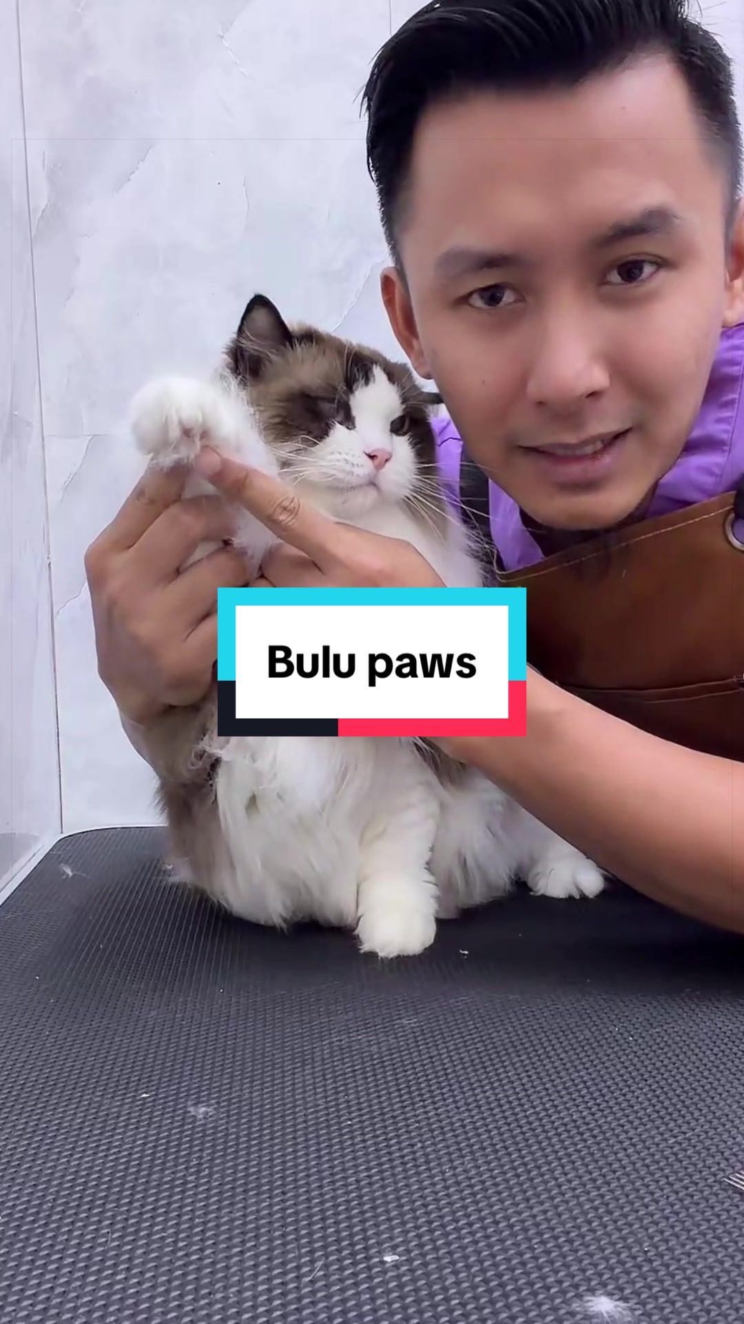 @MOZICAT | CAT GROOMING RAWANG