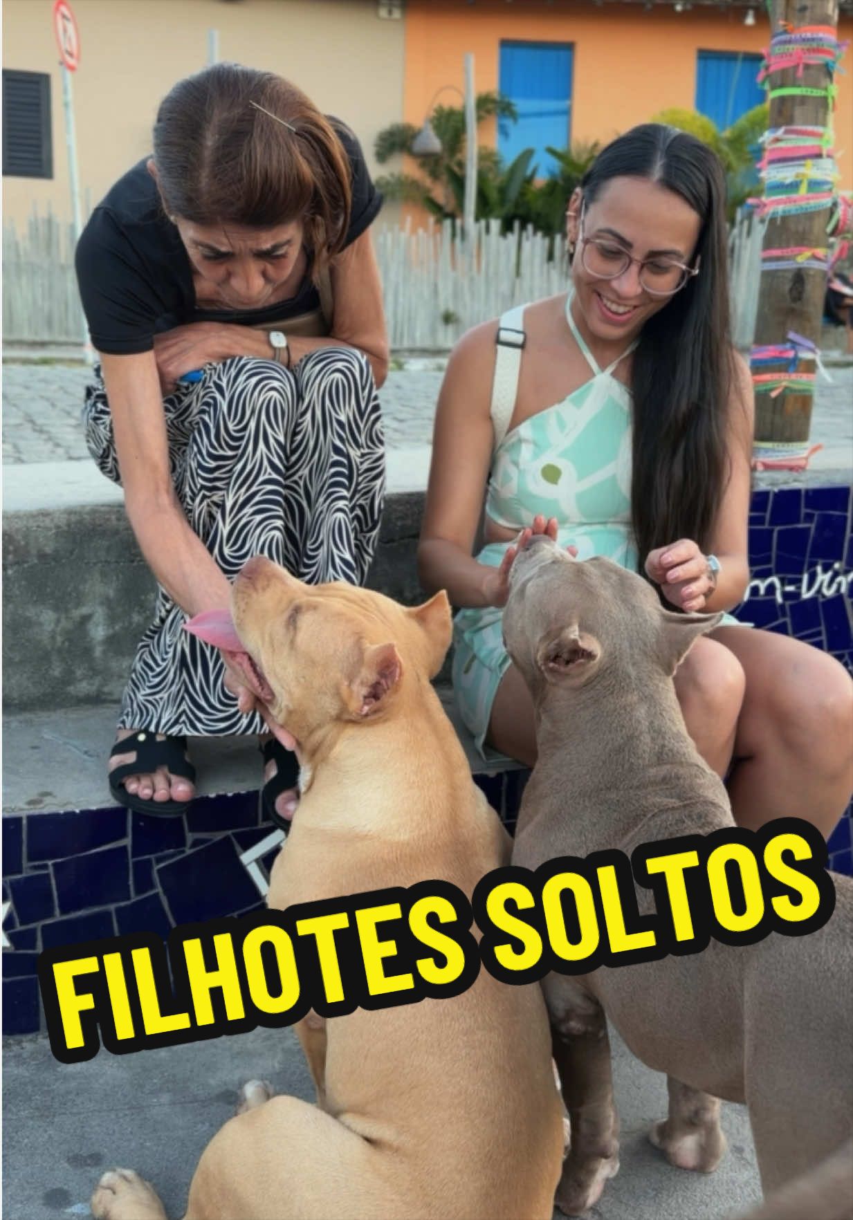 @Família Ragnar 🐶
