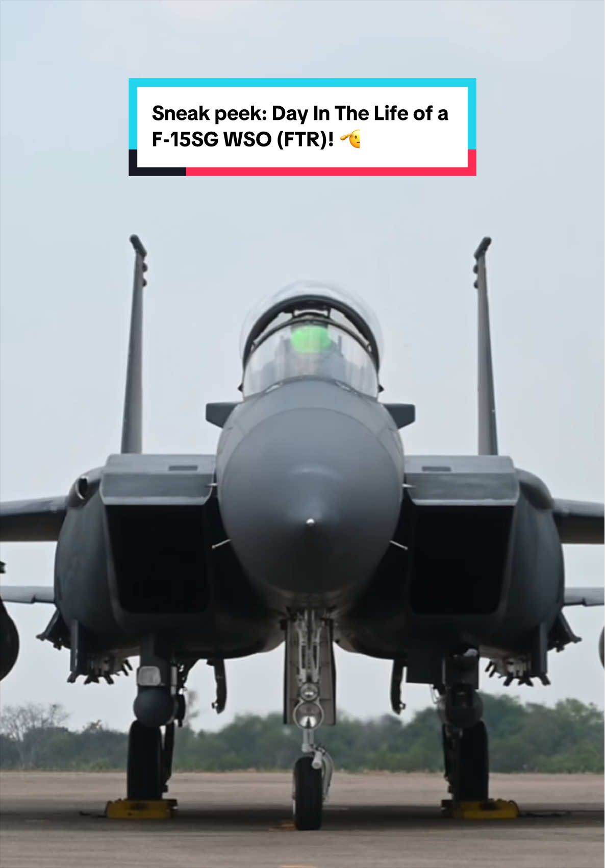 @TheRSAF