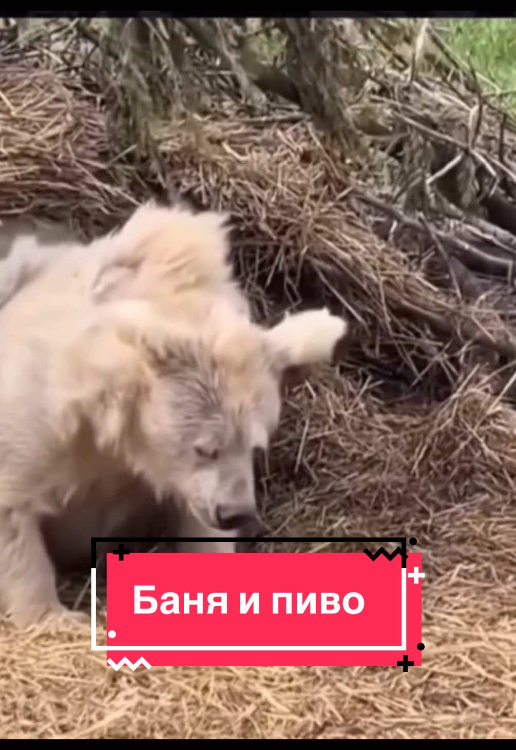 @Виктор Паньков