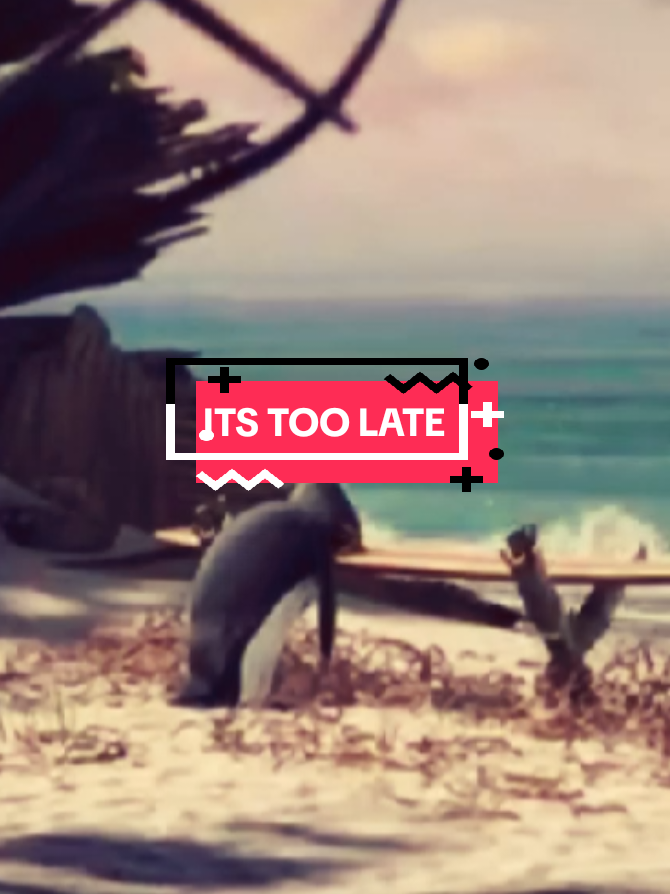 @poupou_edits_nz