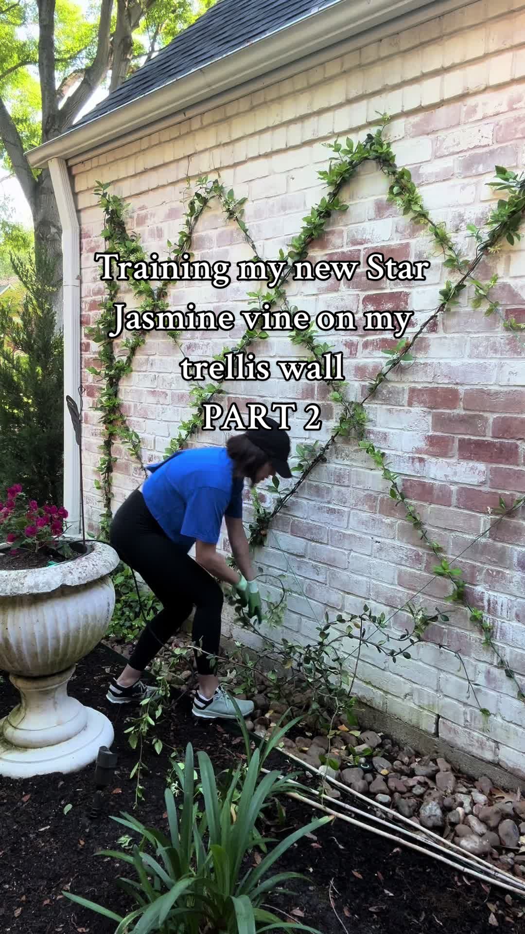 @HomebodyShan