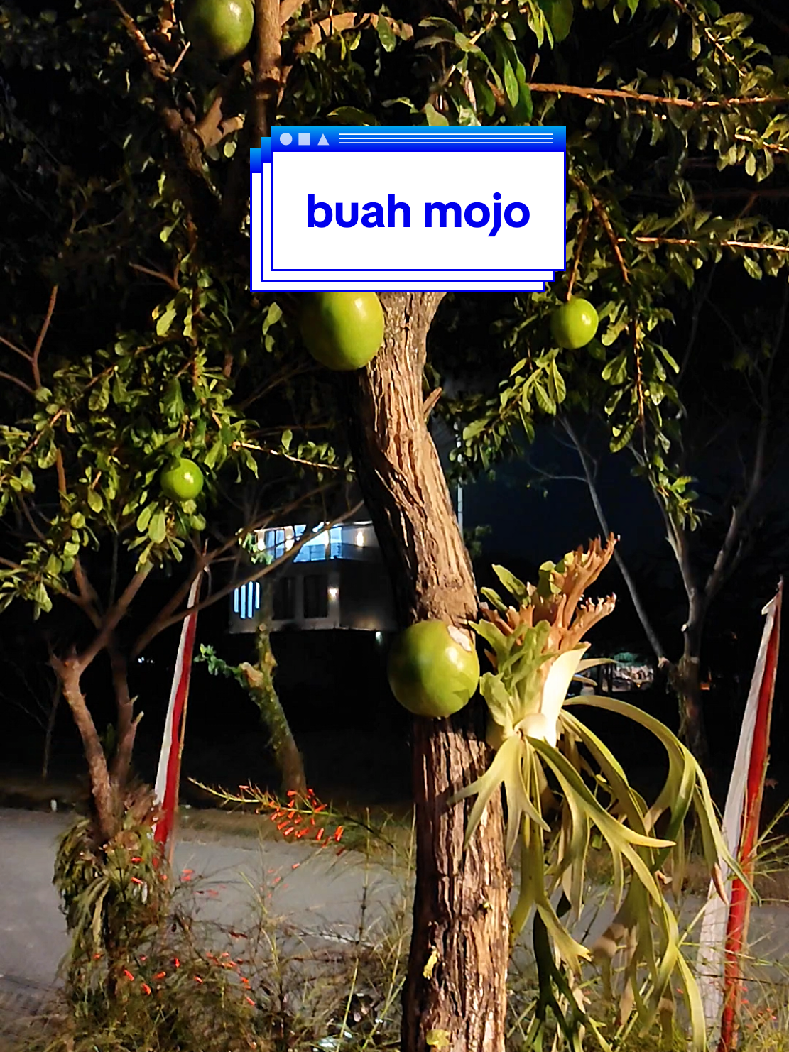 @bu kat