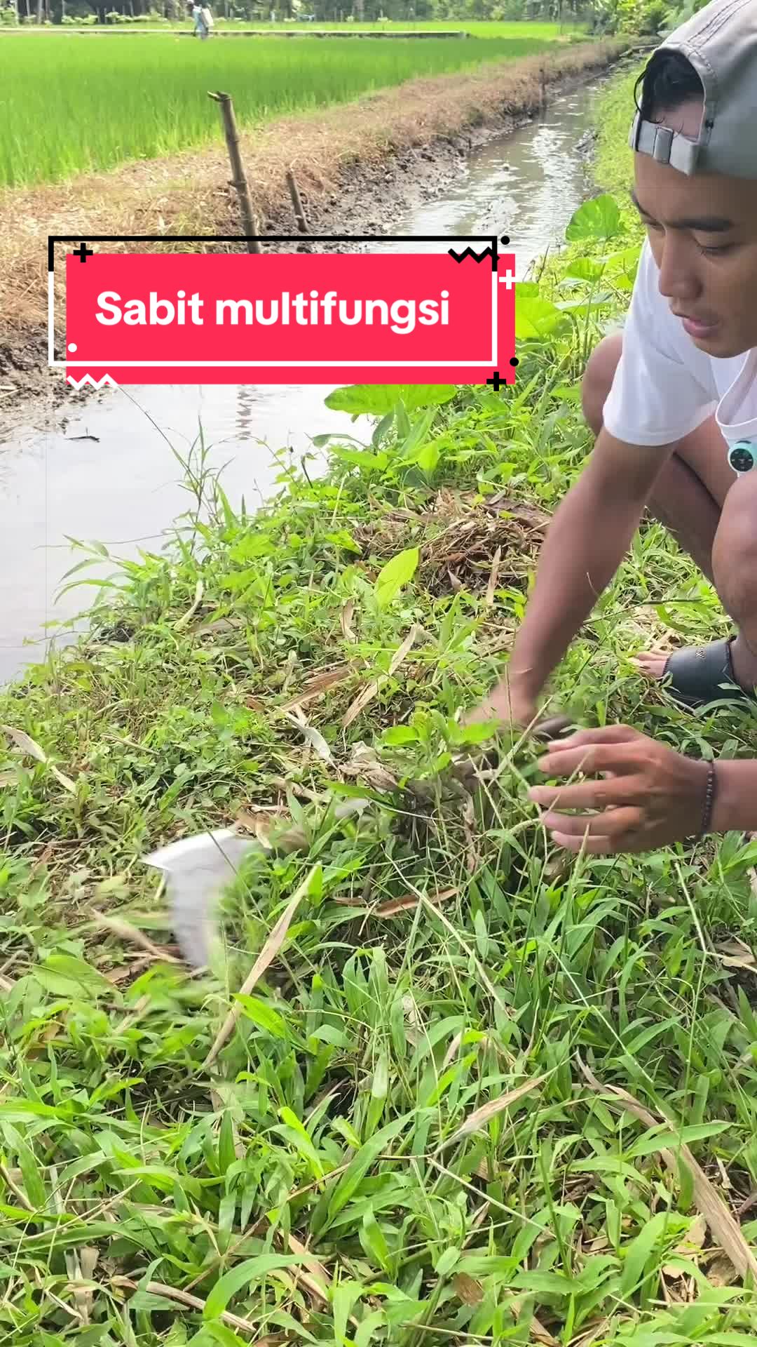 @Baberekomendasi
