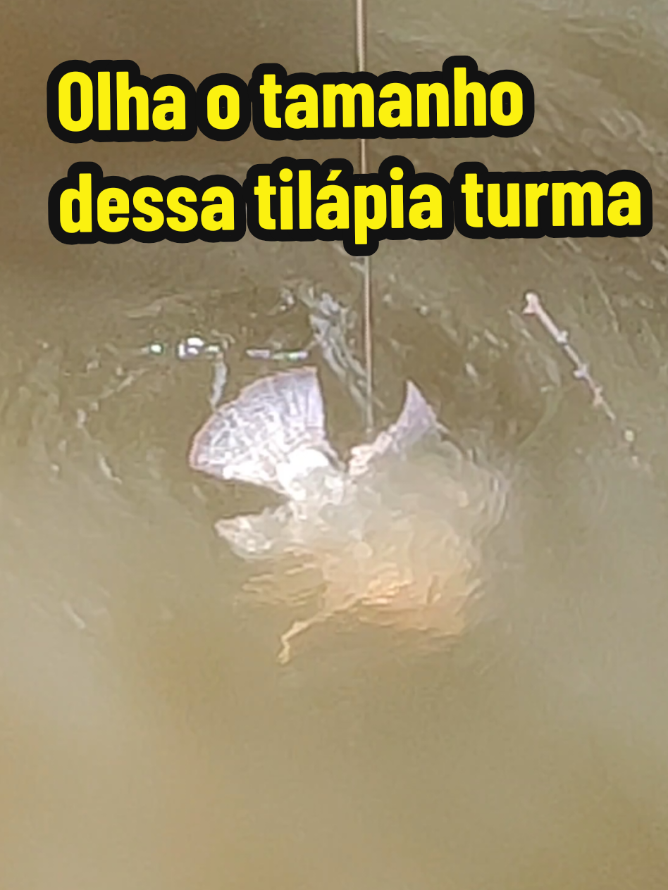 @Joildo Araujo