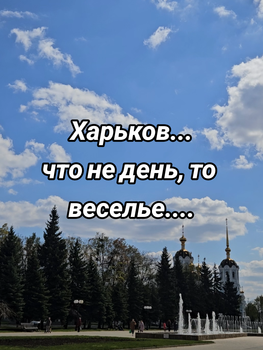 @moy_blog24