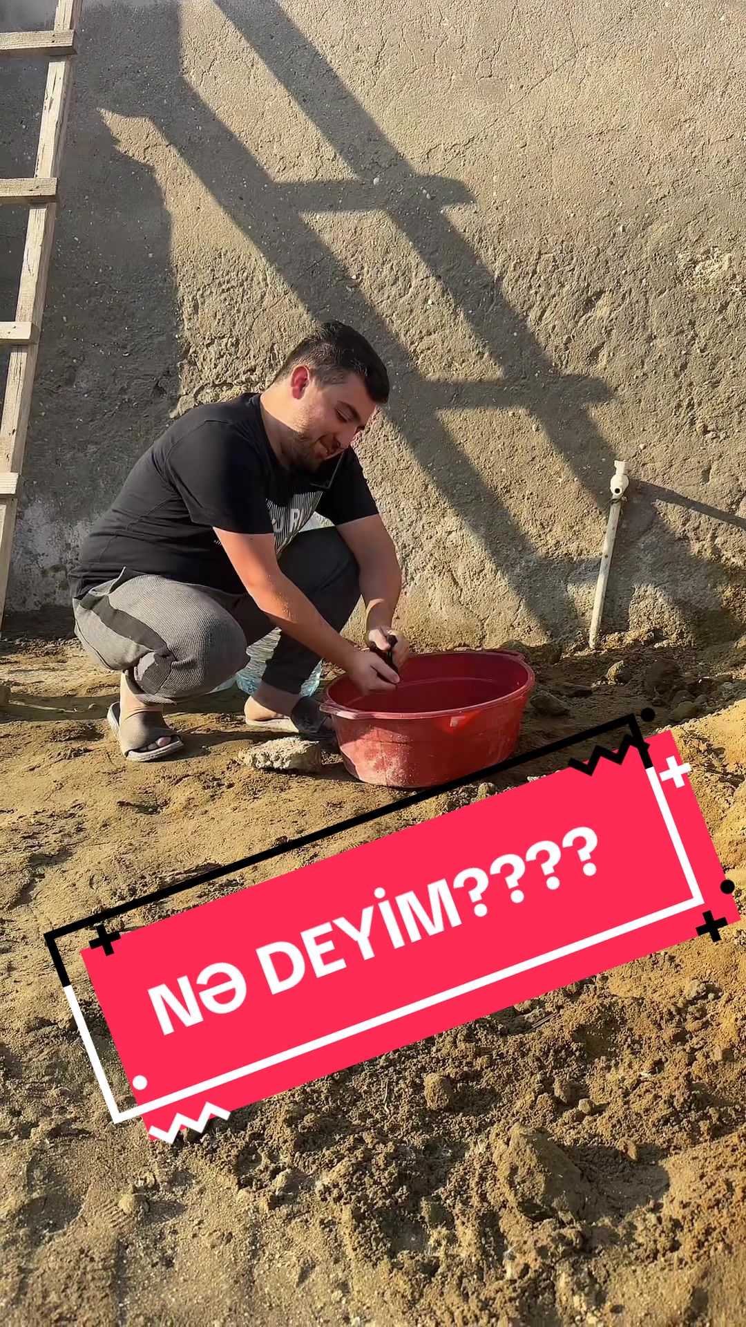 @ŞAHBAZ🐾