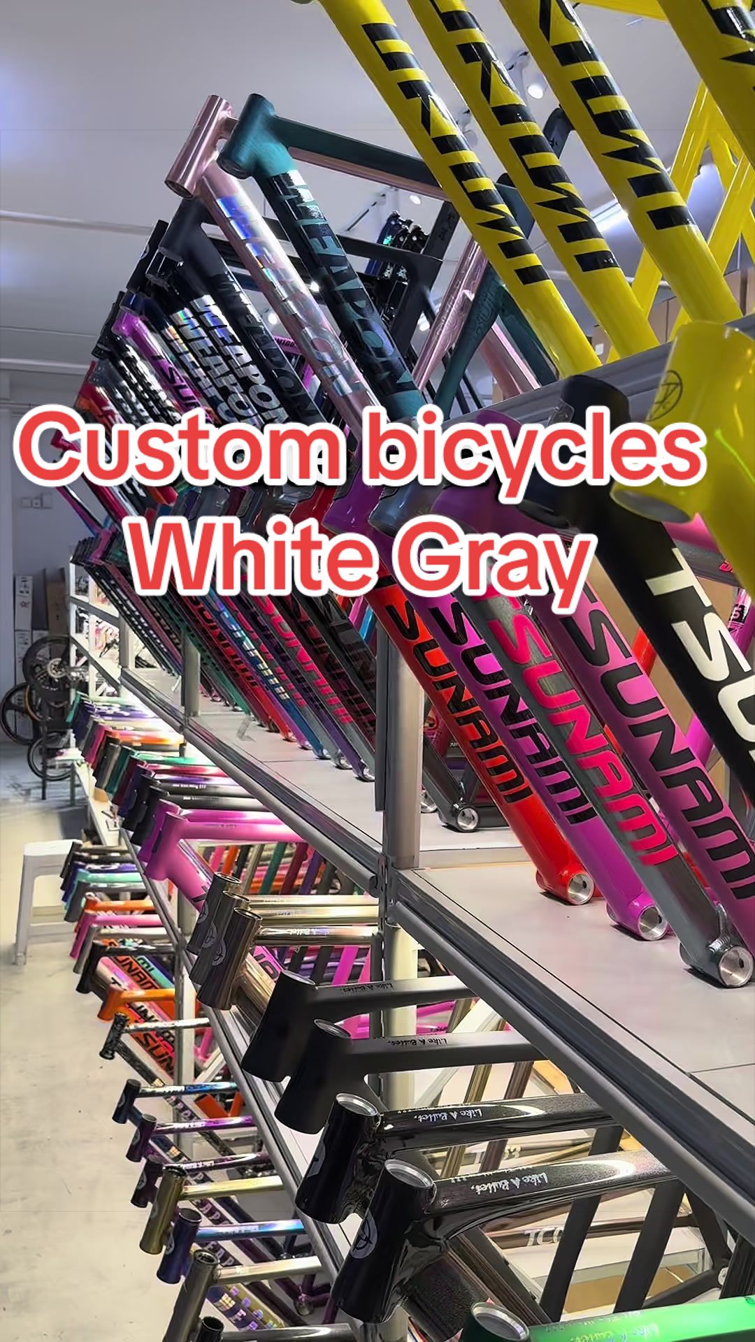 @Miss Wheel