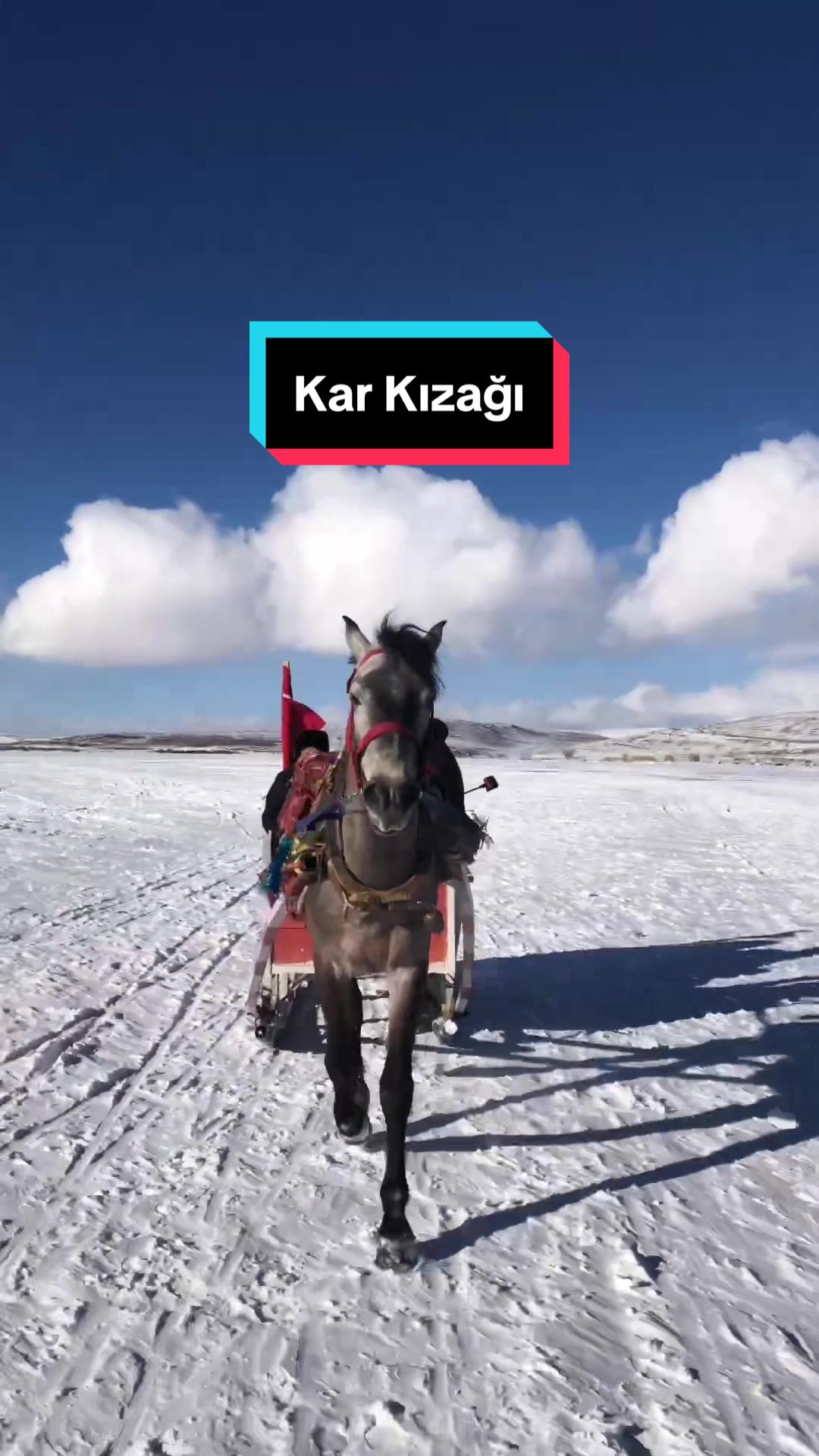 @Merve Hanımzade