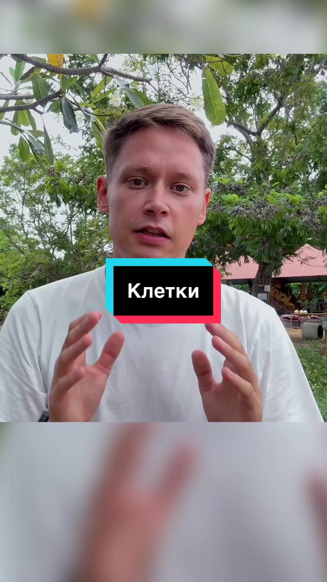 @Автор