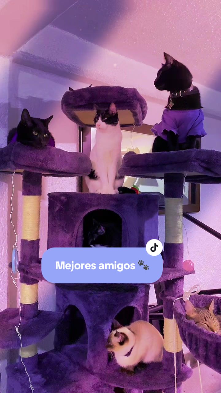 @Antony_13_Family_13