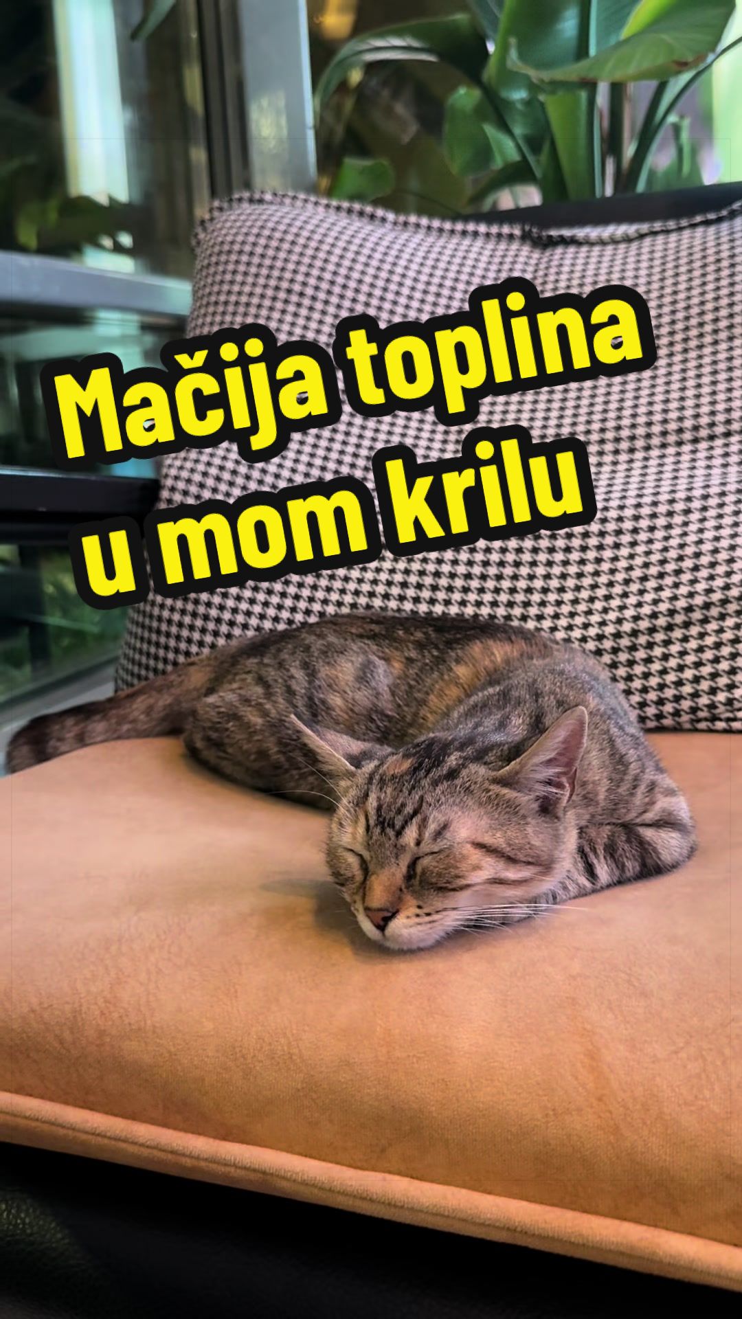 @Maja Kovijanic