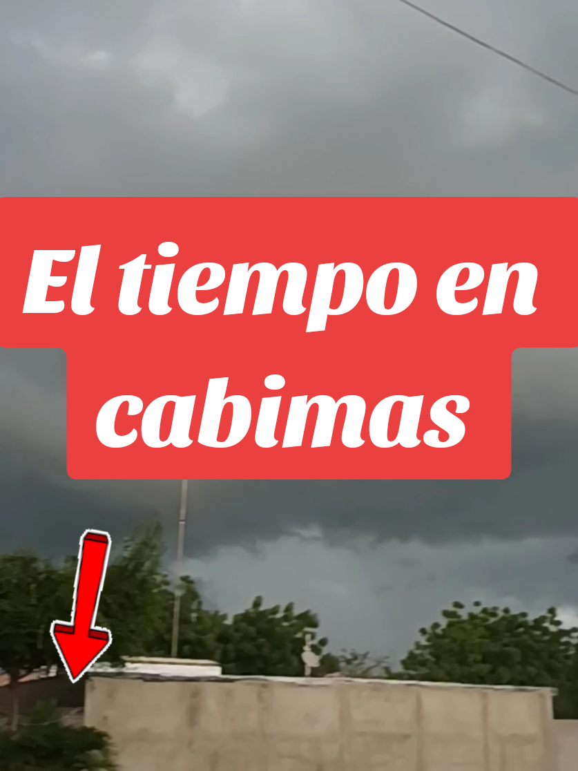 @MIMUNDO1981